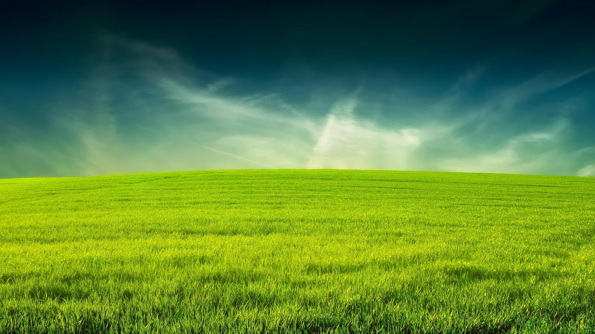 1920x1080 Grass Wallpaper 2 X 1080, Desktop