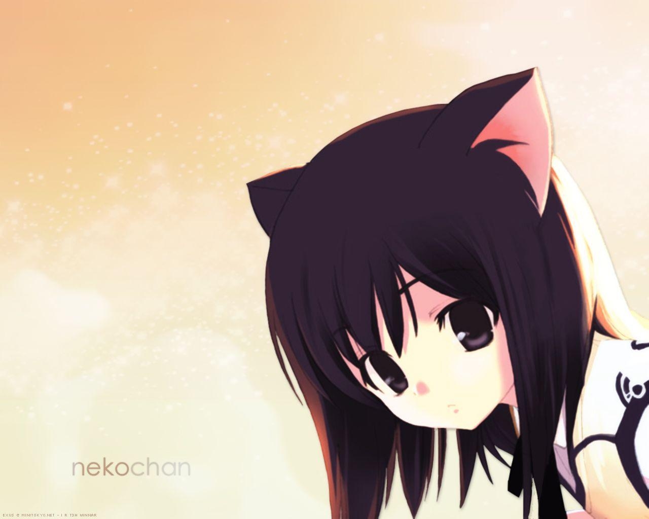 1280x1030 Neko Fan Art, Desktop