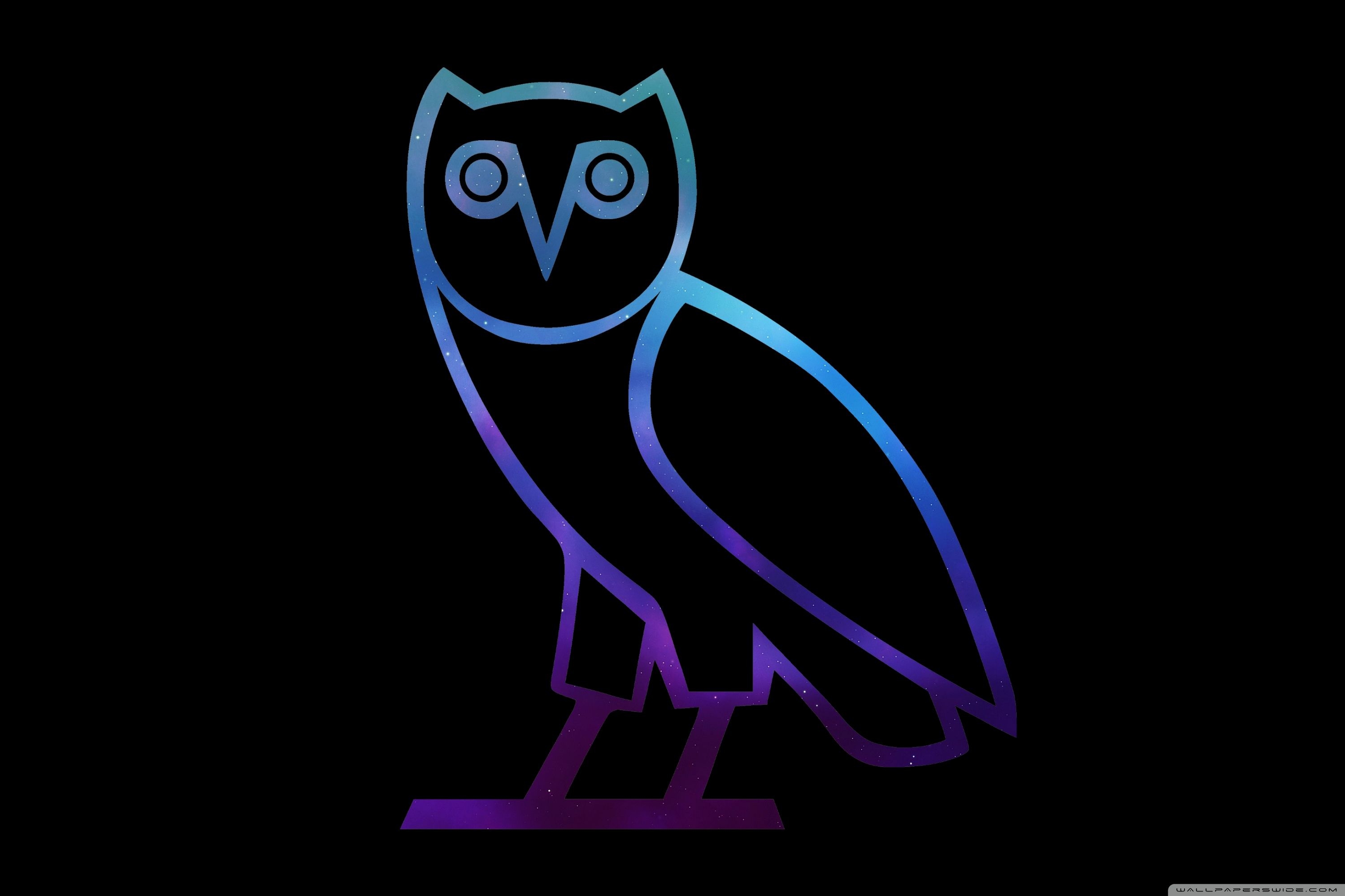 3000x2000 Drake Owl Wallpaper Free Drake Owl Background, Desktop