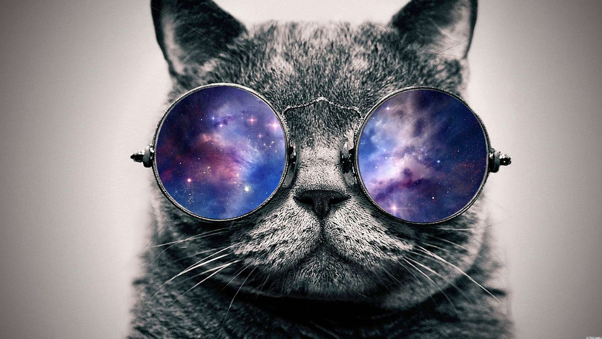 1920x1080 Galaxy Cat Wallpaper, Desktop