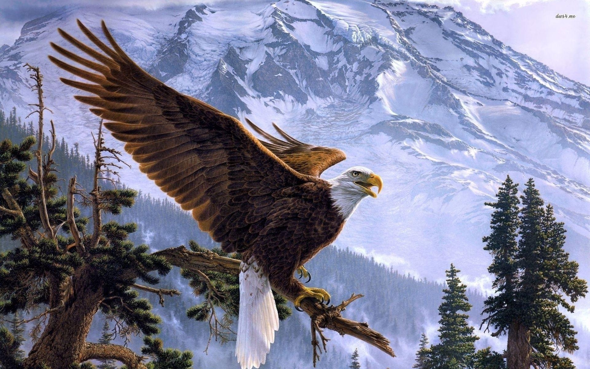 1920x1200 Bald Eagle Wallpaper, Desktop