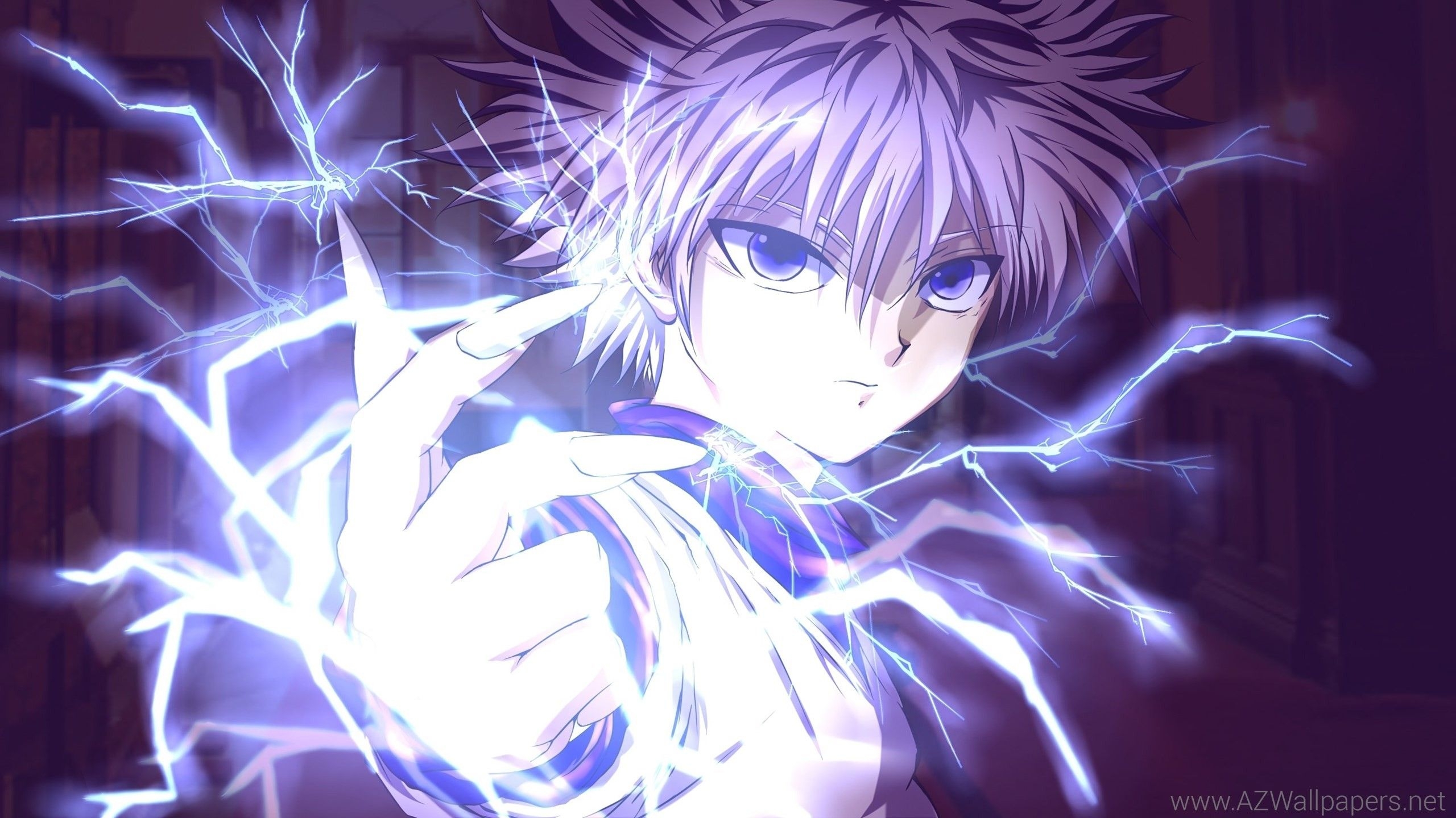 2560x1440 Hunter X Hunter HD, Desktop