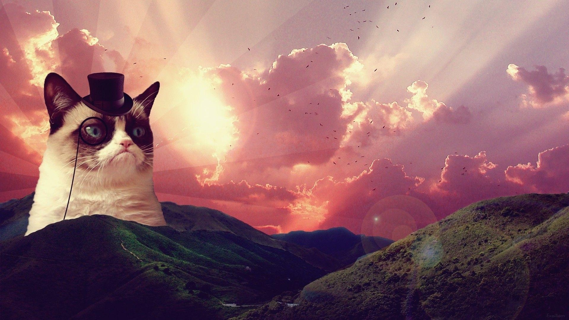 1920x1080 Grumpy Cat wallpaper, Desktop