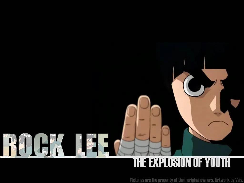 1030x770 Rock Lee Wallpaper Desktop, Desktop