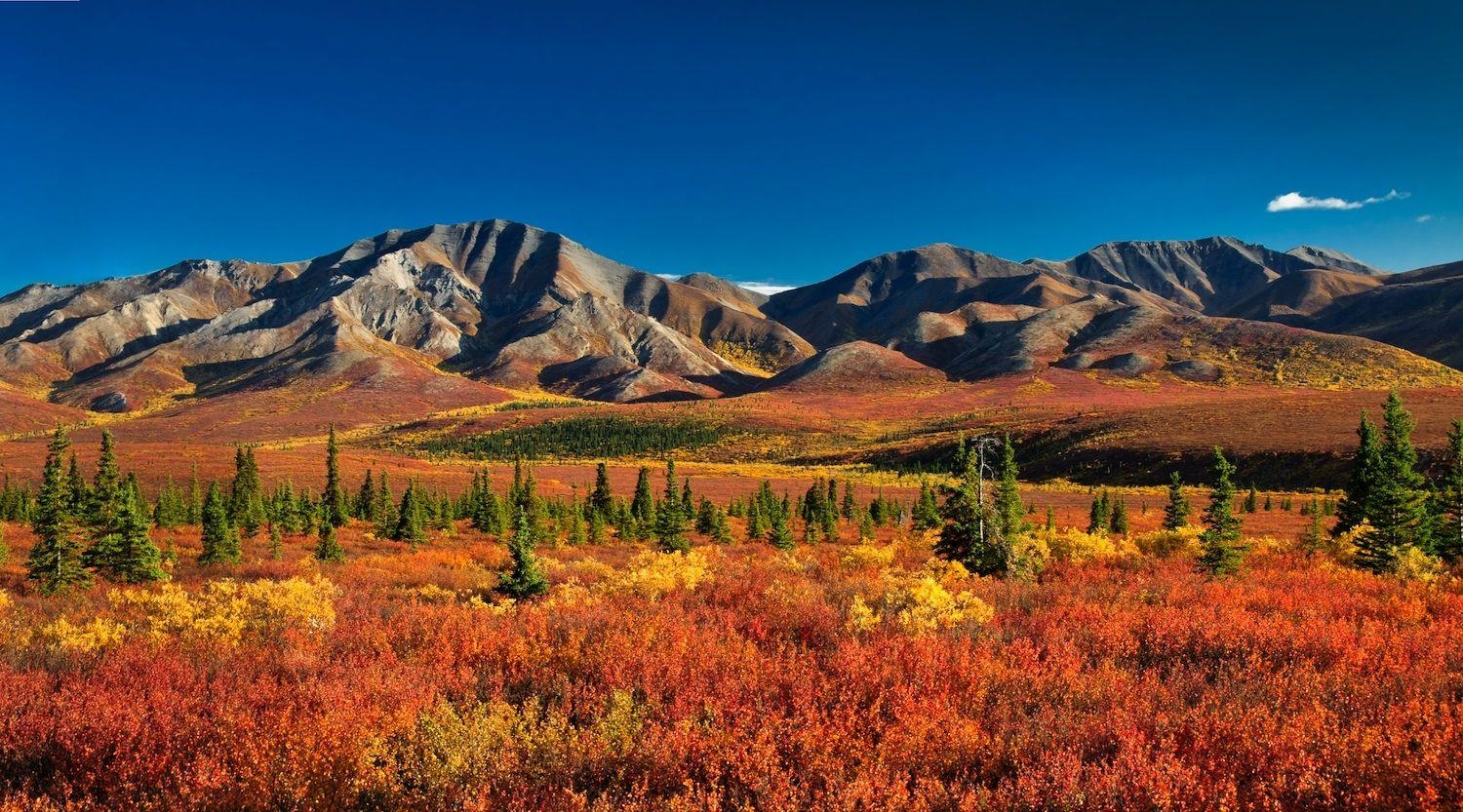 1500x840 Denali National Park and Preserve, Alaska, USA, Desktop