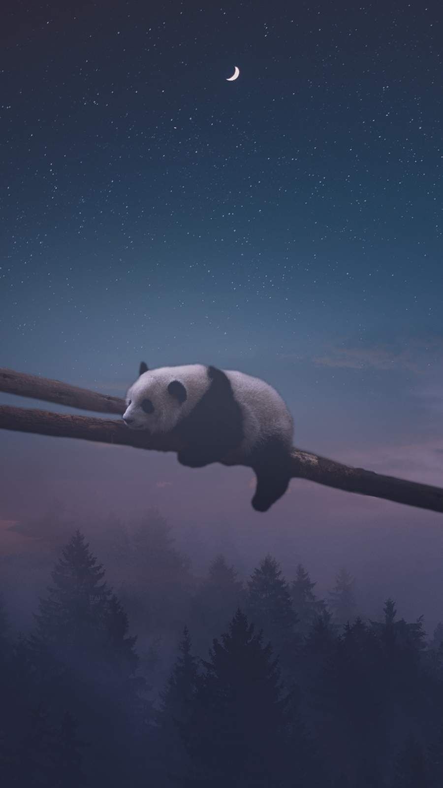 900x1600 Sleeping Panda iPhone Wallpaper. Panda, Phone