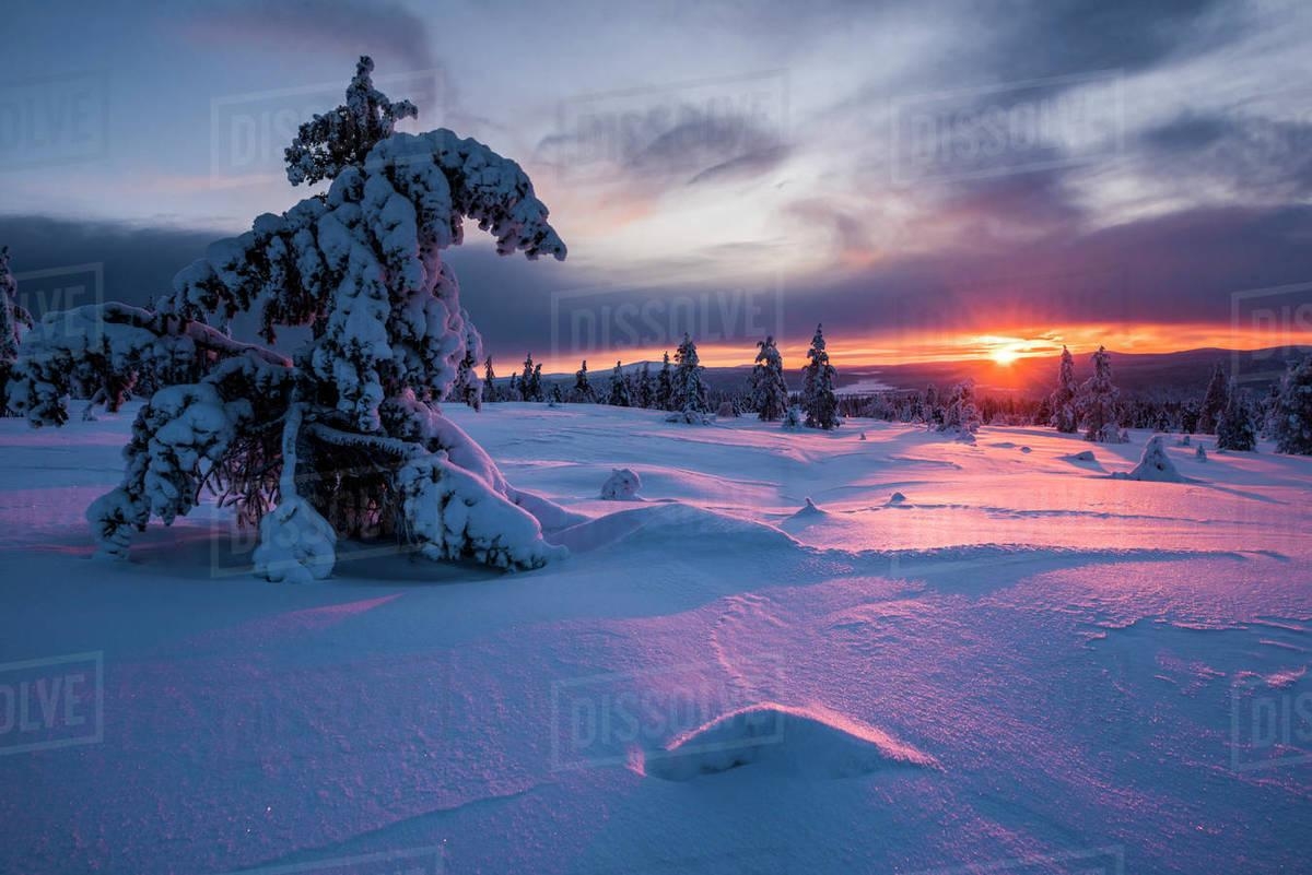 1200x810 Snow covered winter landscape at sunset, Lapland, Pallas, Desktop