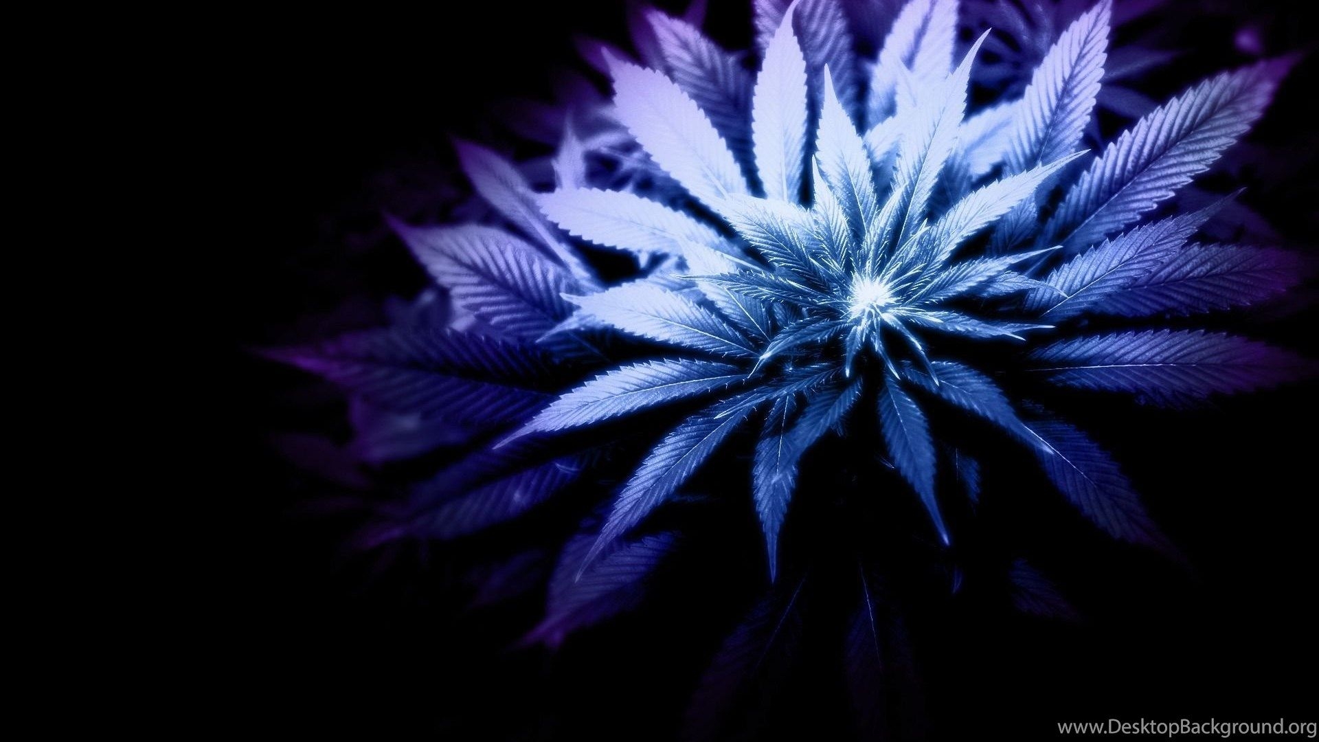 1920x1080 Gallery For Girls Smoking Weed Desktop Wallpaper Desktop Background, Desktop