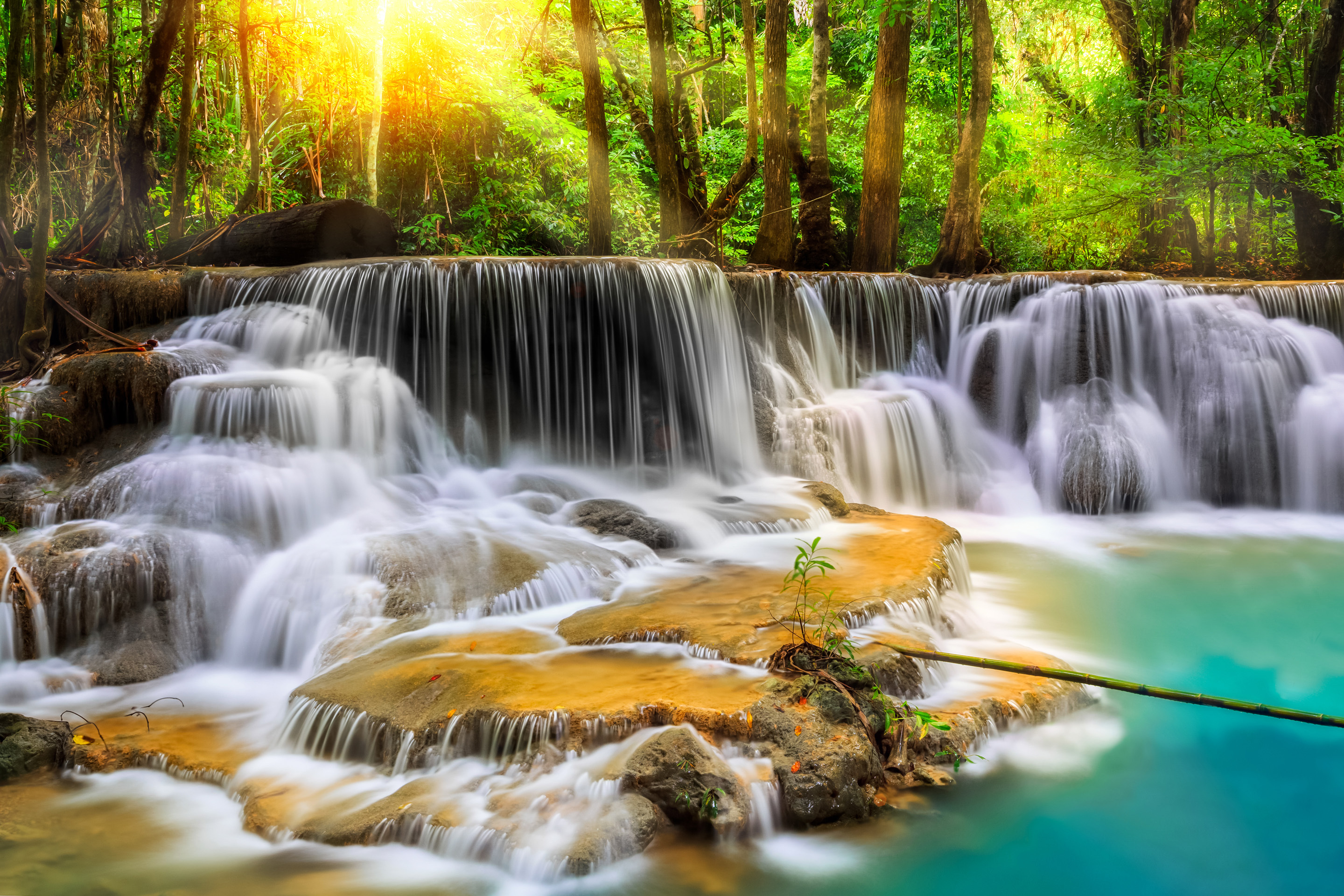 2880x1920 Download wallpaper forest, trees, river, Desktop