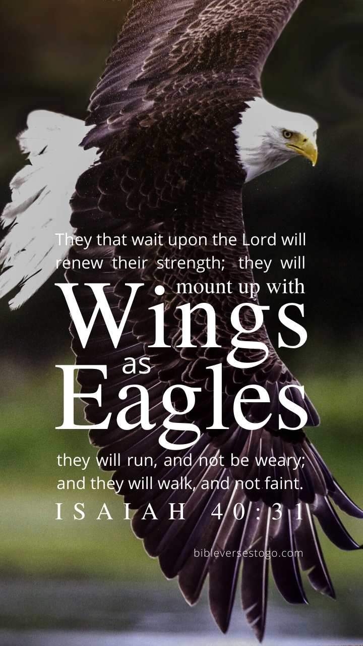 720x1280 Bald Eagle Isaiah 40:31 Phone Wallpaper, Phone