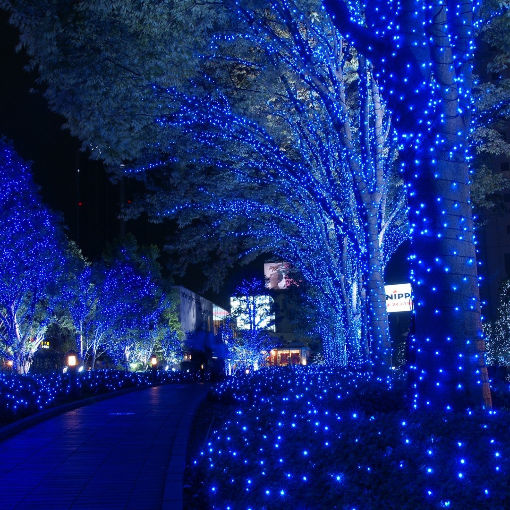 2050x2050 Animated Christmas Wallpaper for iPad, Phone