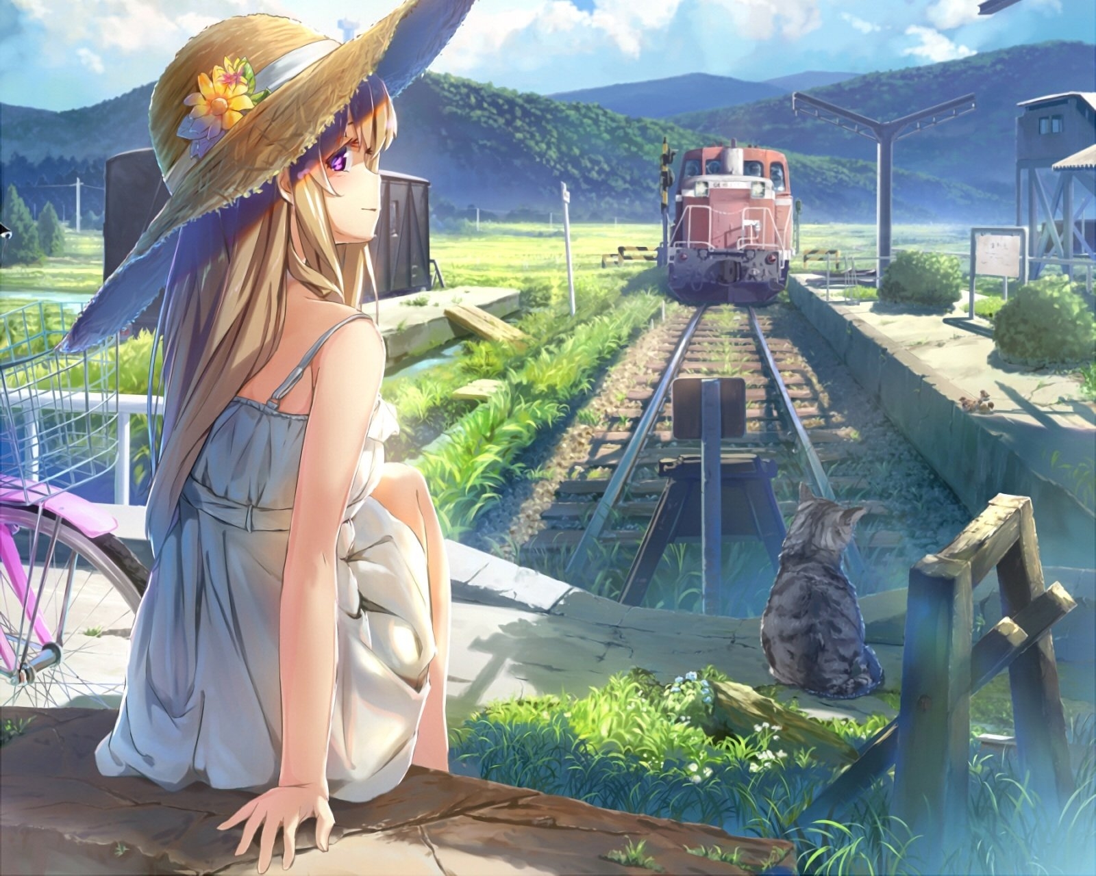 1600x1280 Download  Anime Girl, Summer Dress, Strawhat, Cat, Train, Desktop