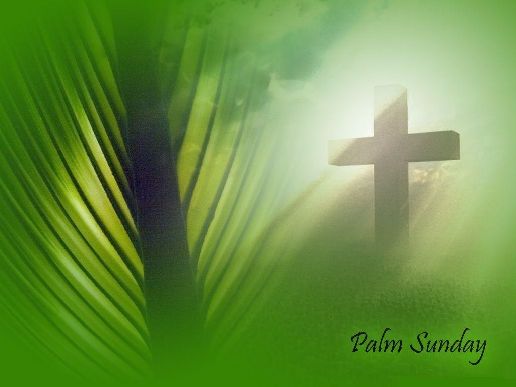 1030x770 Palm Sunday Wallpaper, Desktop