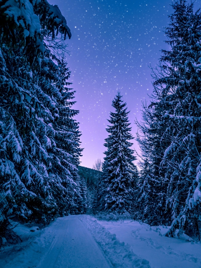 770x1030 Snowy Trees Wallpaper 4K, Winter, Forest, Frozen, Nature, Phone