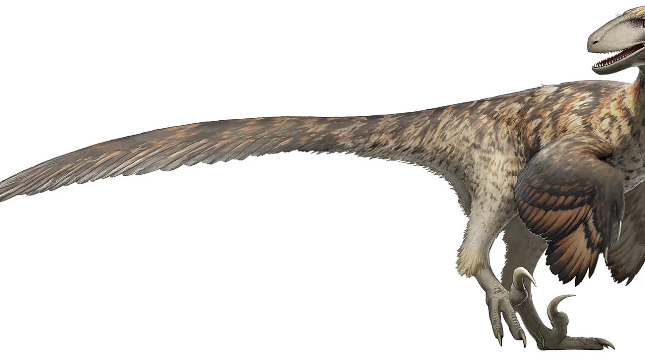 1280x720 deinonychus sounds, Desktop