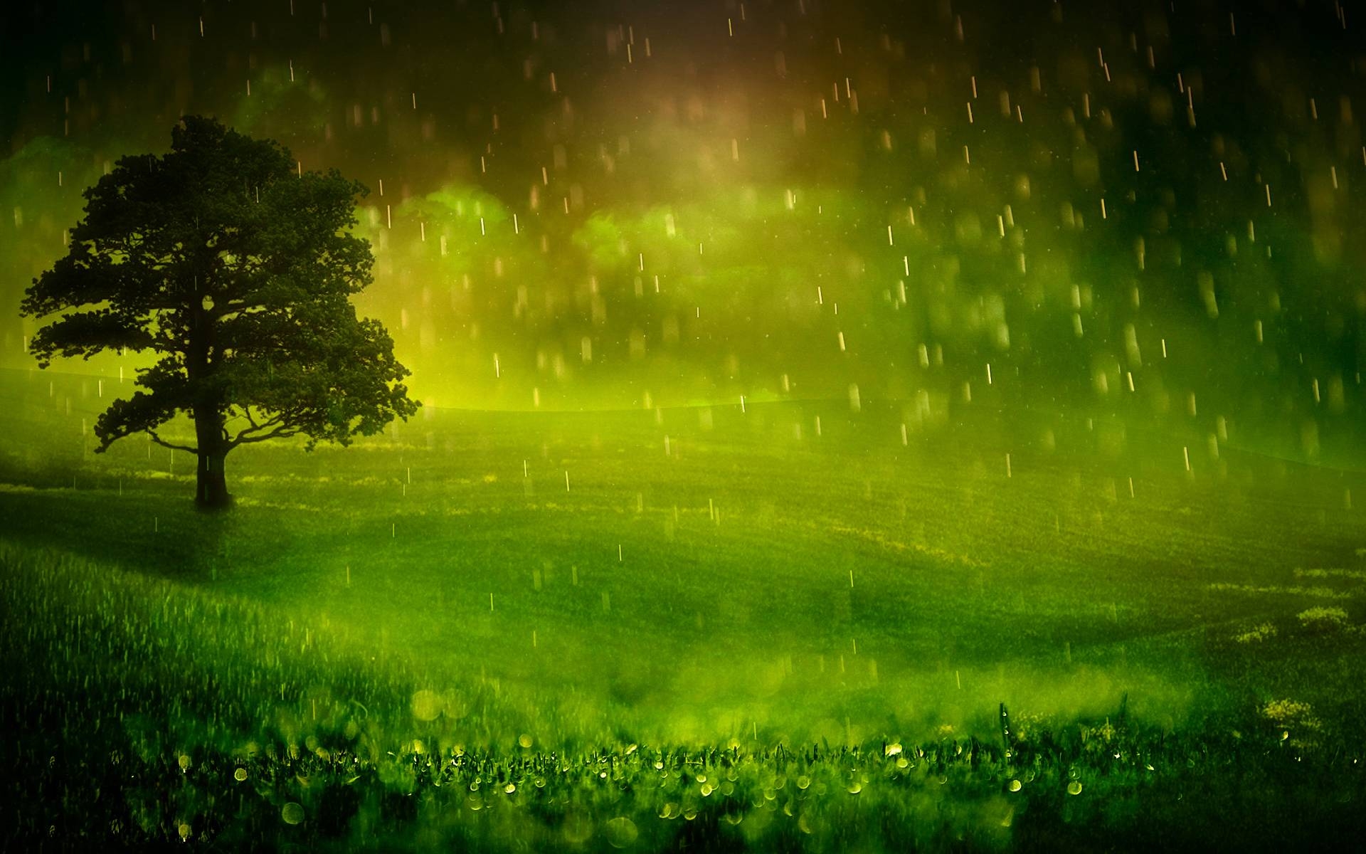 1920x1200 File Name, Nature Landscapes Other Rain Wallpaper, Desktop