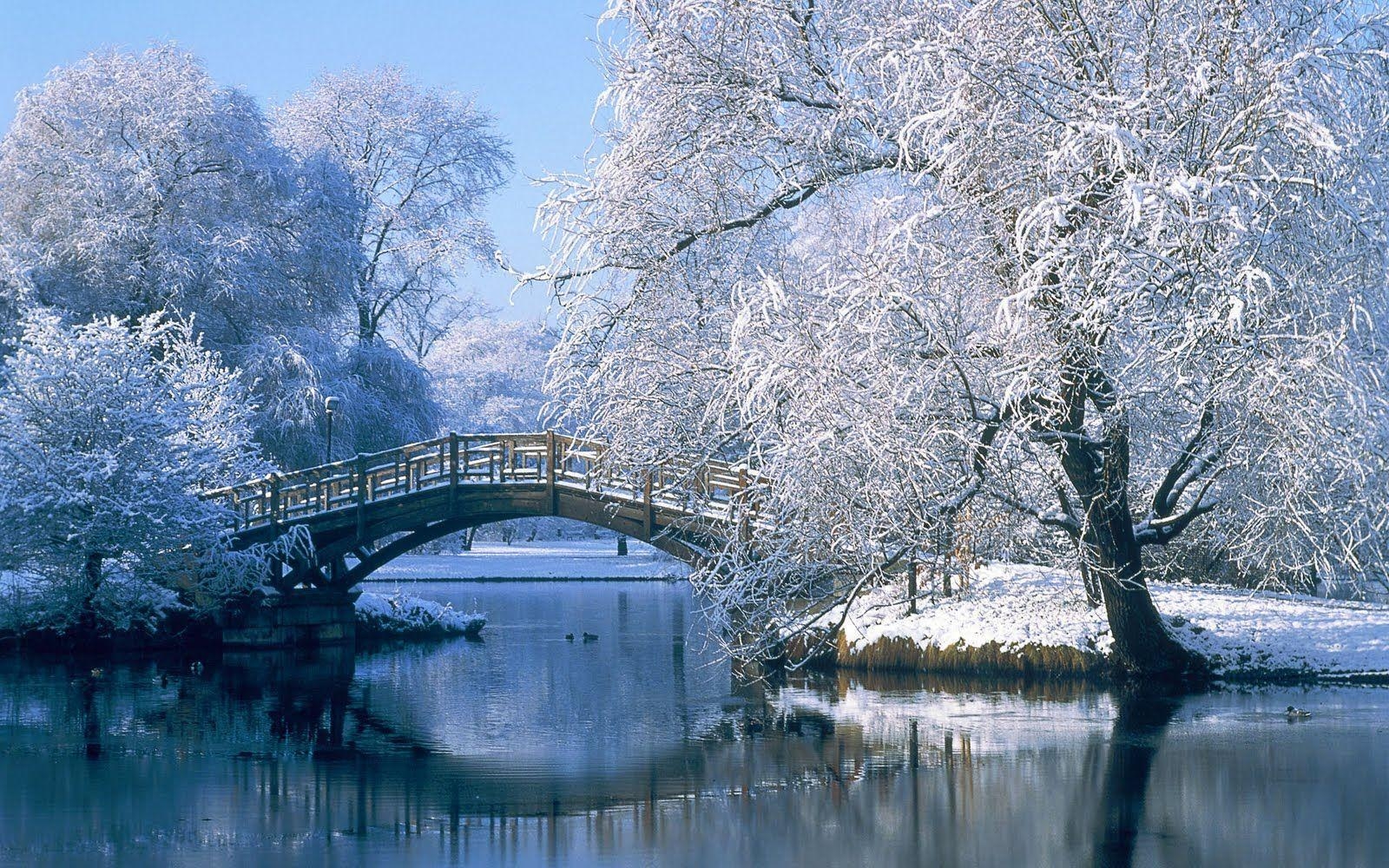 1600x1000 Brug in de winter. Winter scenery, Winter landscape, Winter picture, Desktop