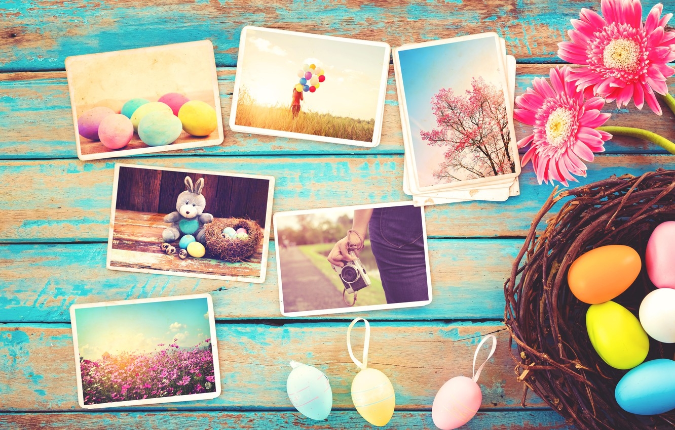 1340x850 Wallpaper flowers, photo, eggs, spring, camera, colorful, Easter, gerbera, wood, pink, flowers, camera, spring, Easter, eggs, decoration image for desktop, section праздники, Desktop