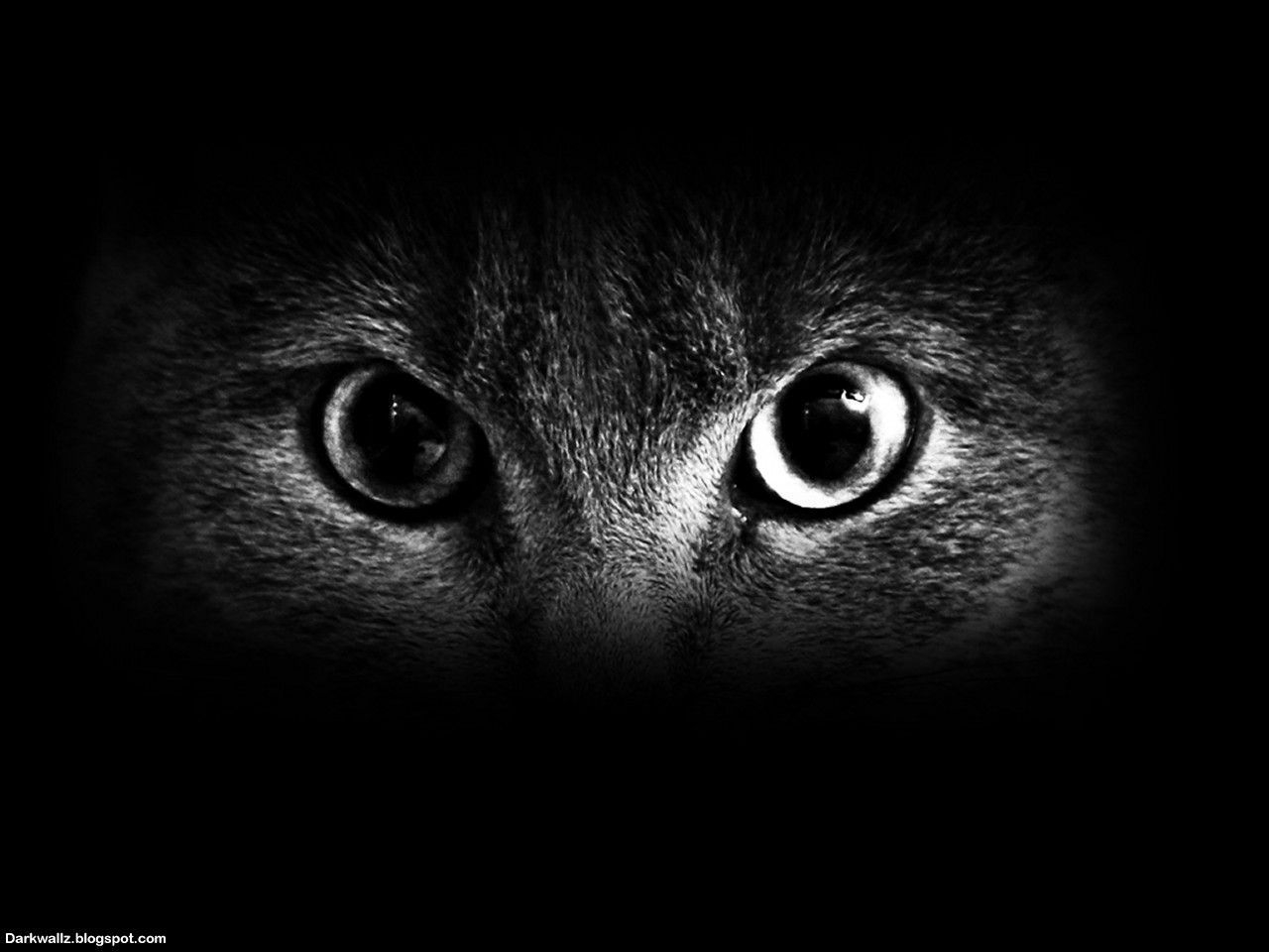 1280x960 Scary Eyes Wallpaper, Desktop