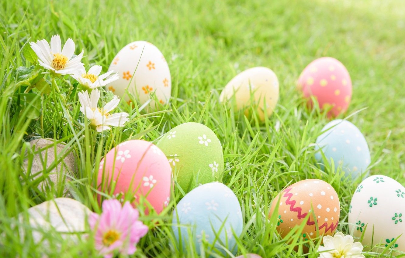 1340x850 Wallpaper grass, flowers, eggs, Easter, flowers, spring, Easter, eggs, decoration, pastel colors image for desktop, section праздники, Desktop