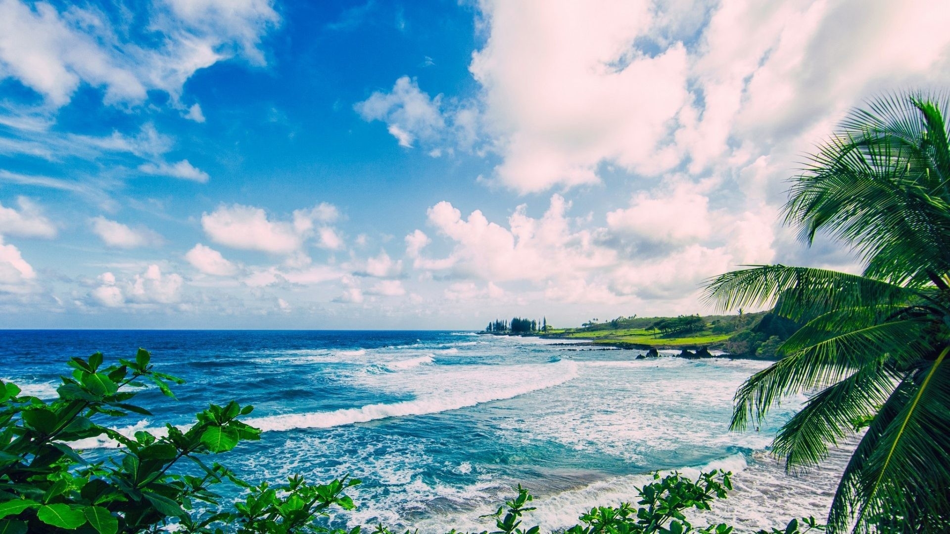 1920x1080 Ocean Waves Clouds Palm Maui Beach Hawaii Blue Palms Wallpaper Maui Hawaii HD Wallpaper, Desktop