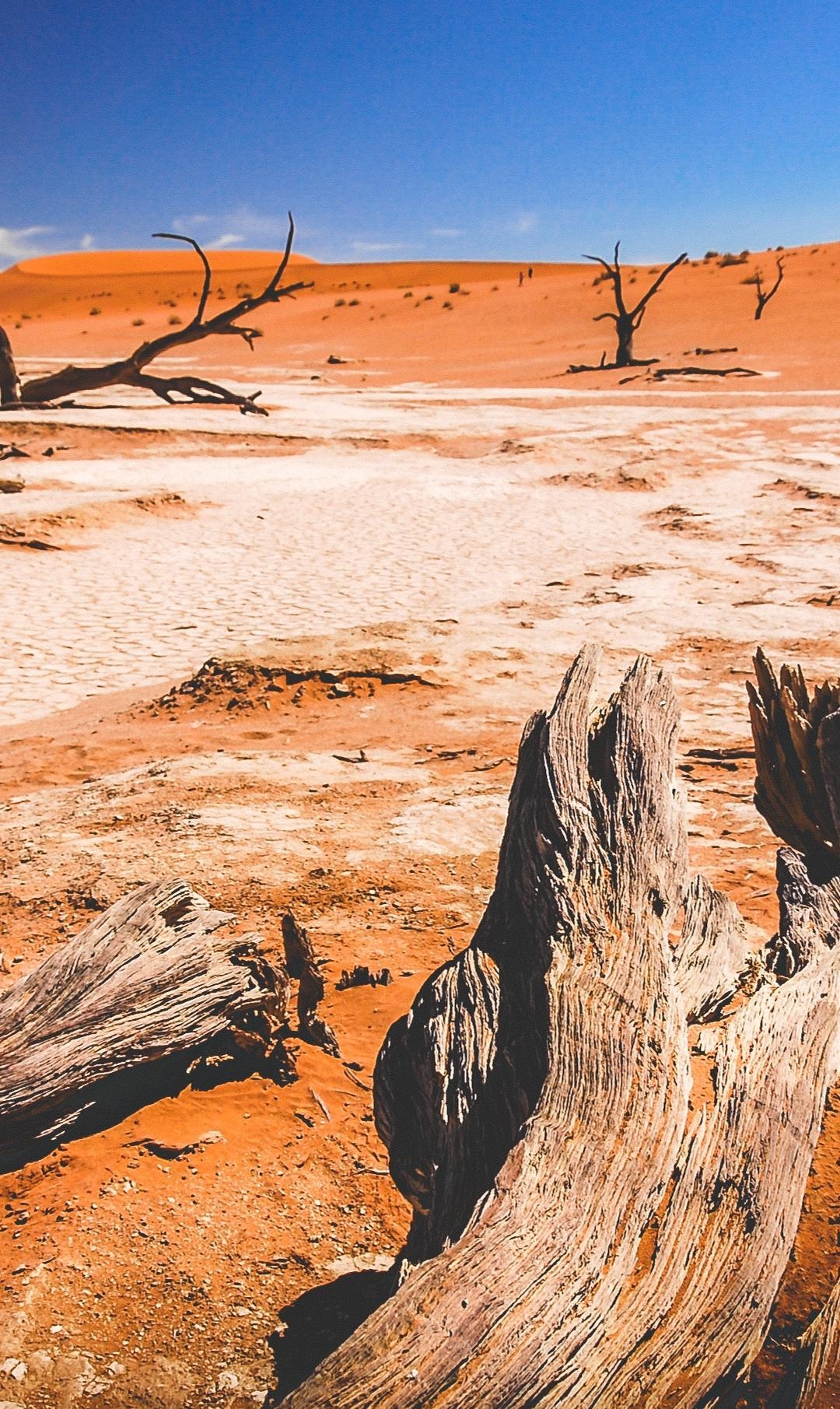 1080x1820 Sossusvlei Dunes iPhone Wallpaper, Phone