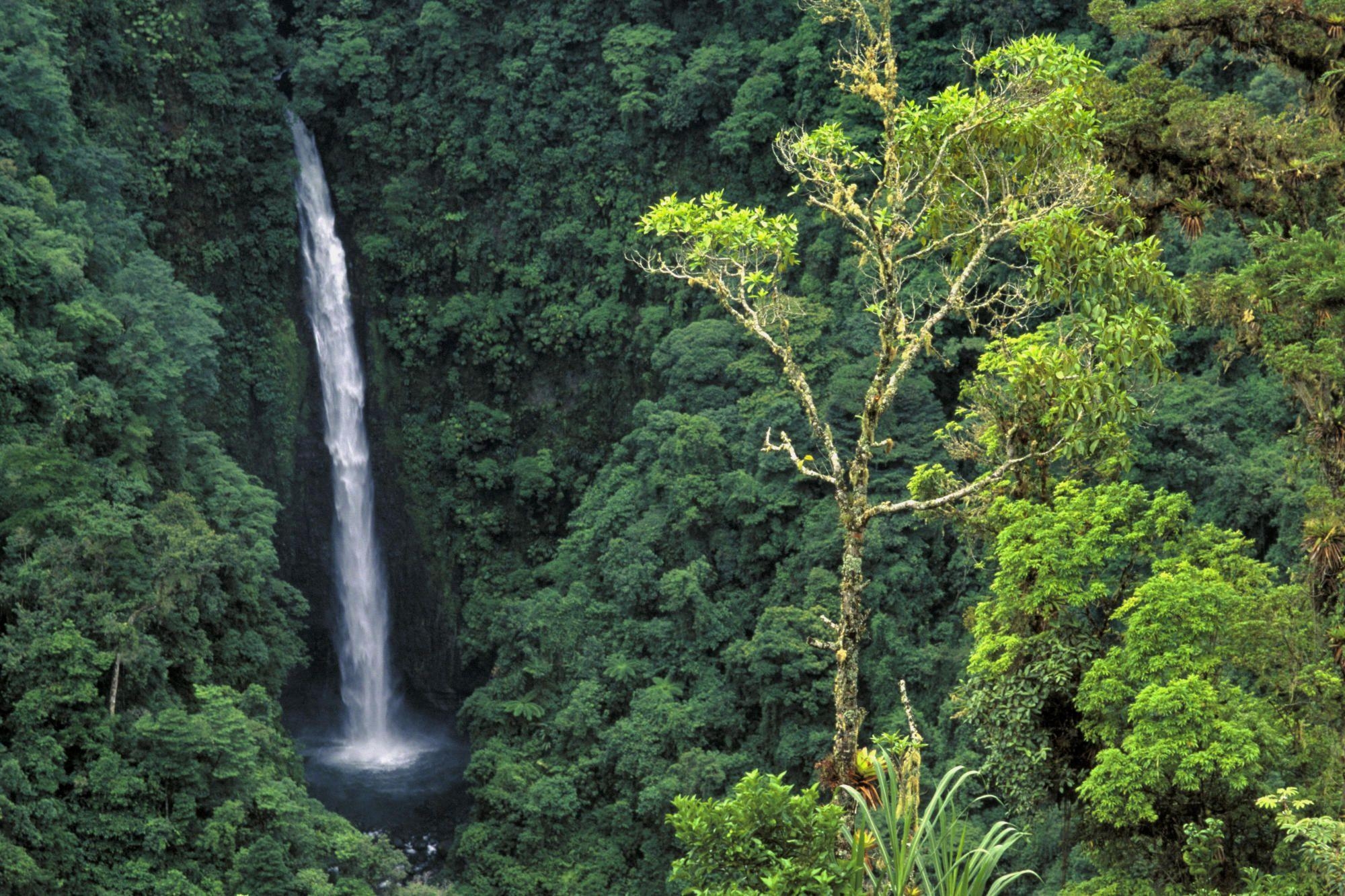 2000x1340 Angel Falls (a.k.a. Congo Falls) Cordillera Central Costa Rica, Desktop