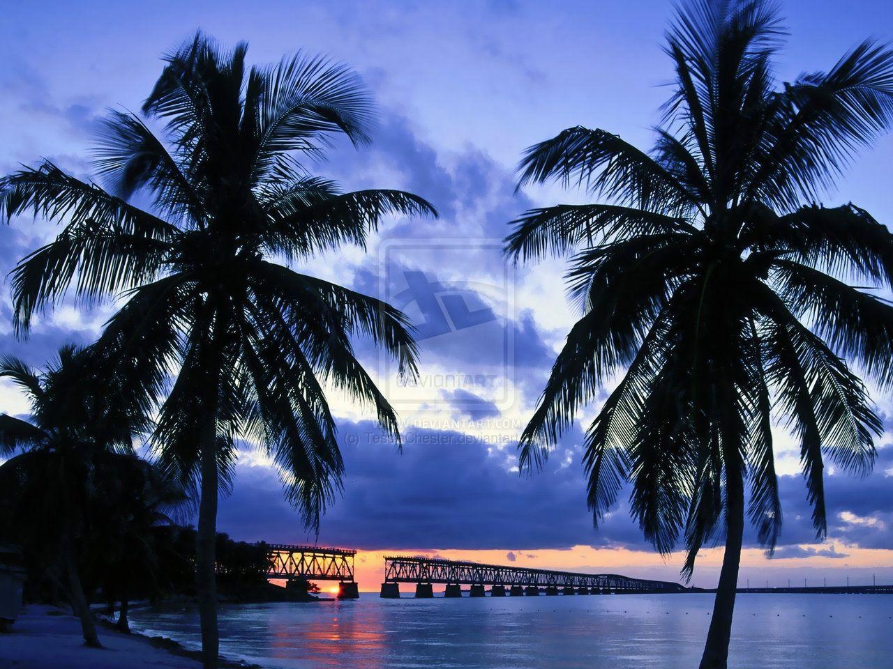 1280x960 Florida wallpaperx960, Desktop