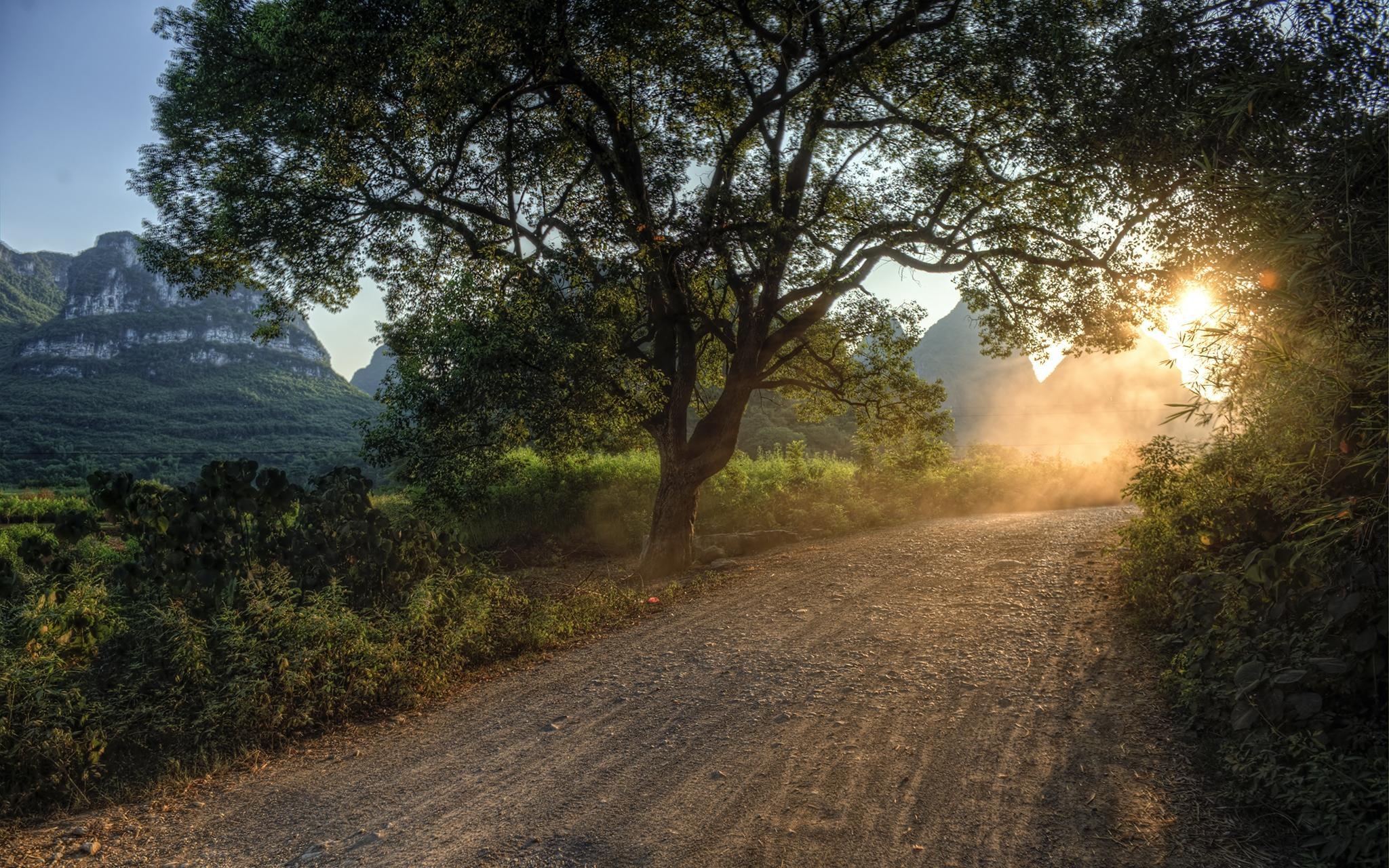 2050x1280 Download wallpaper  road, light, way, sun, trees, Desktop