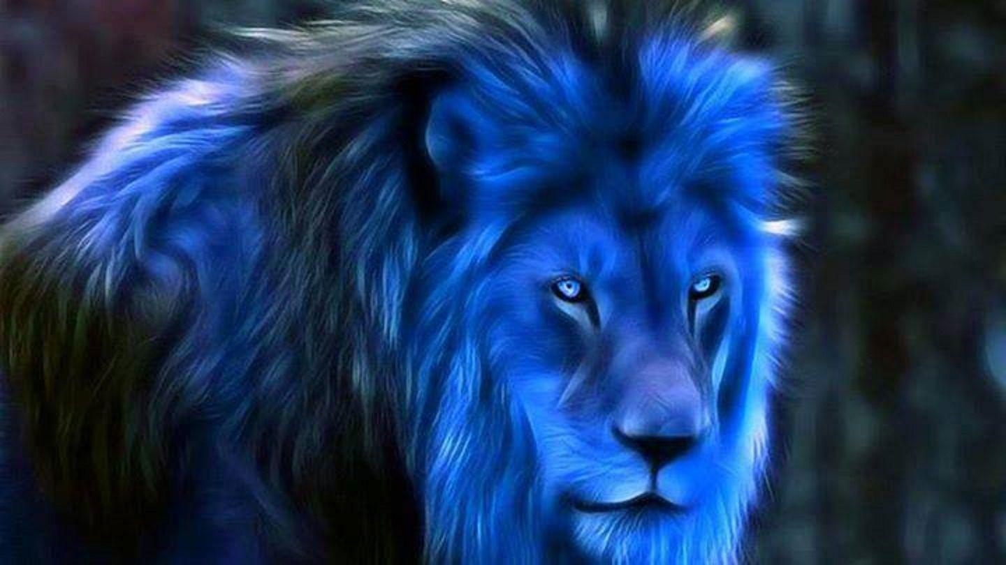 1440x810 Midnight Blue Fantasy #Blue #Lions #Wallpaper. Wallpaper, Desktop