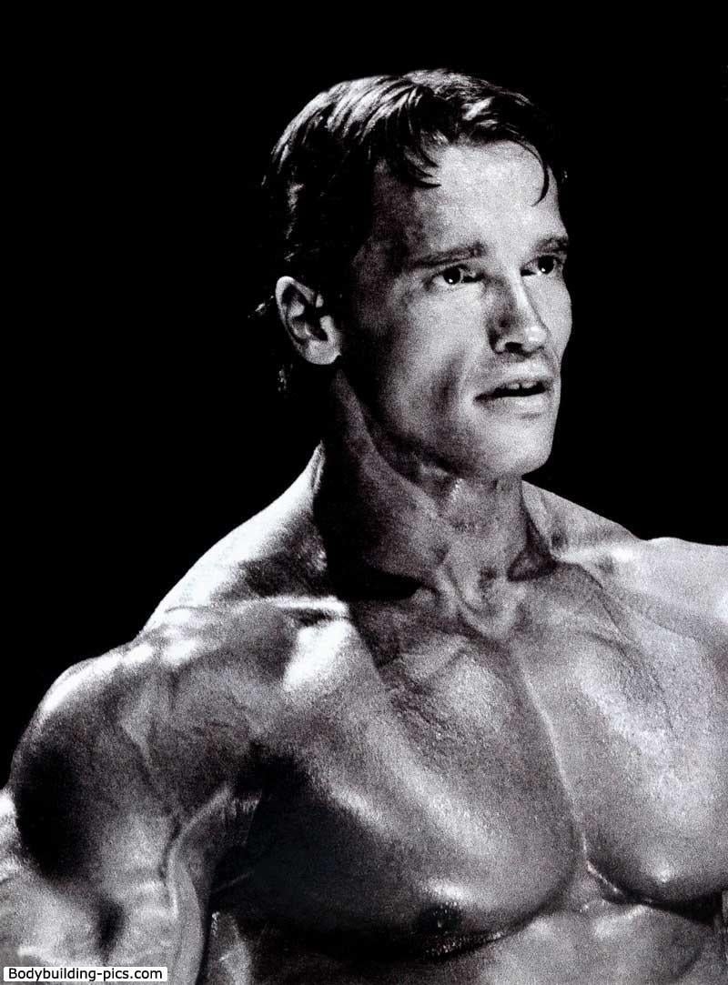 800x1090 Arnold Schwarzenegger iPhone Wallpaper, Phone