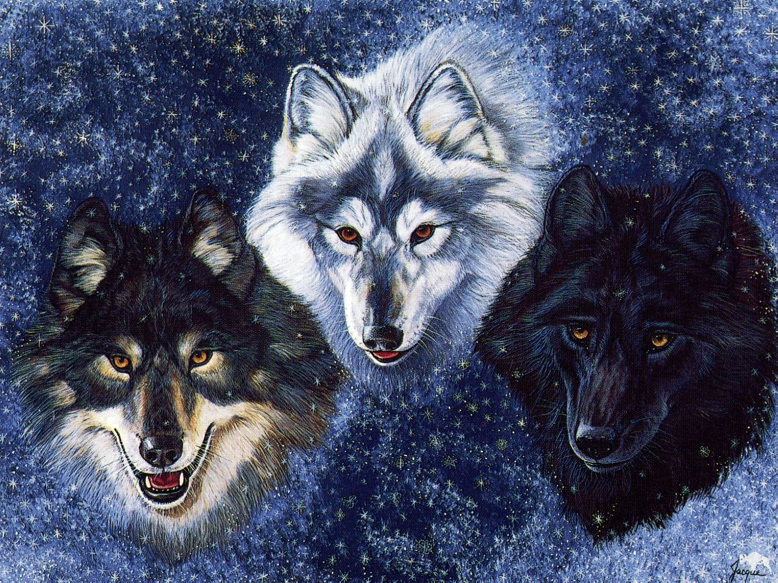 1600x1200 Wolves, Desktop