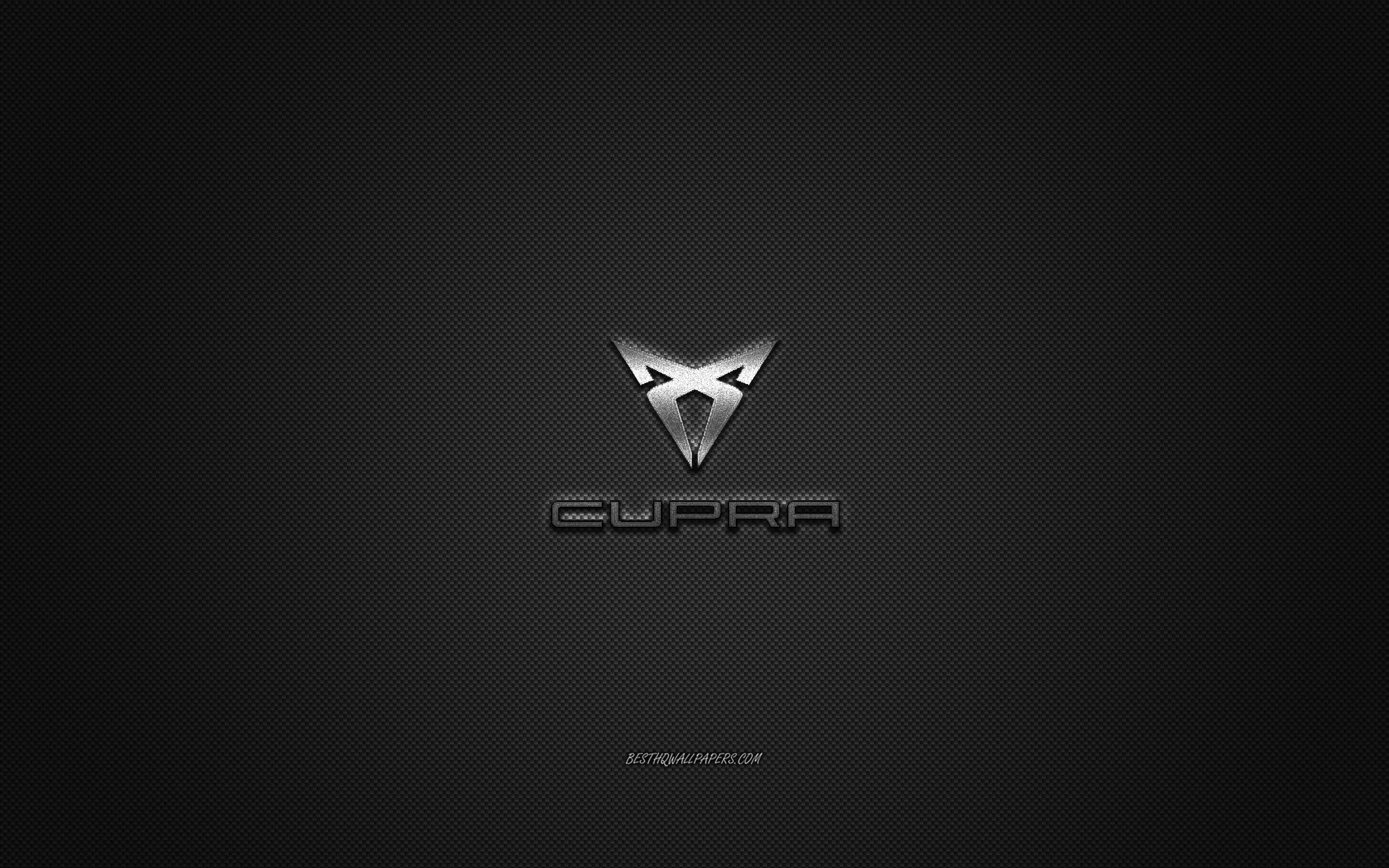 2560x1600 Download wallpaper Cupra logo, silver, Desktop