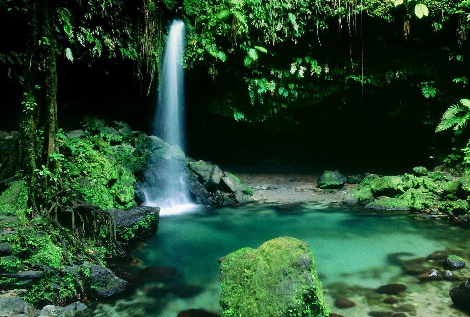 1600x1080 Beautiful Waterfall Greenery Serene Dominica Wallpaper HD 1080p, Desktop