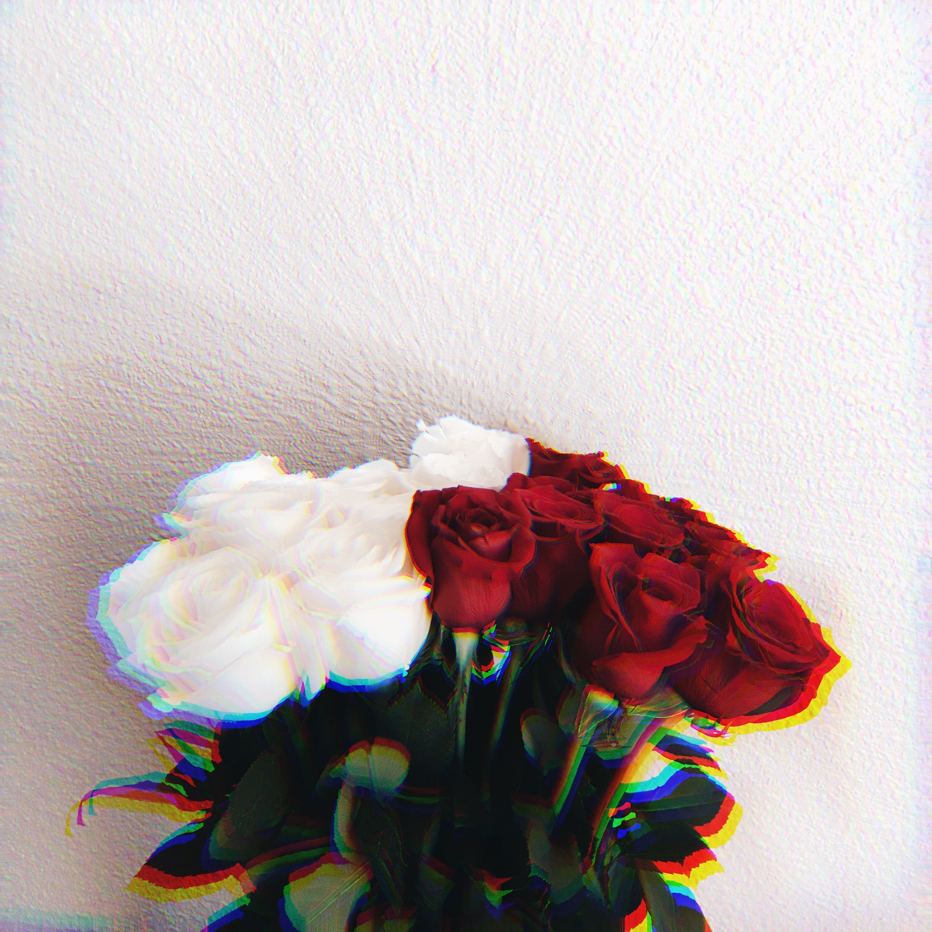 3030x3030 White Rose Aesthetic Wallpaper Free White Rose Aesthetic Background, Phone