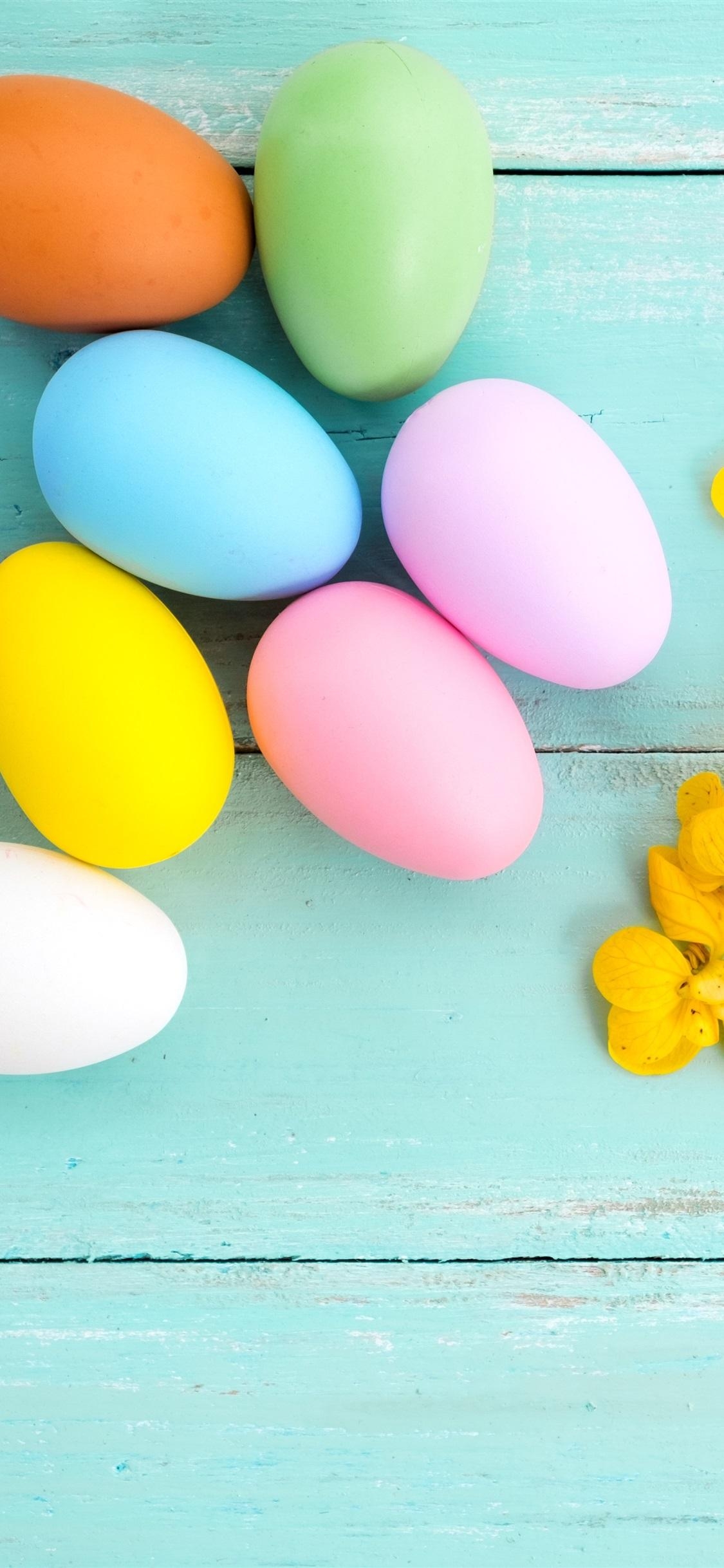 1130x2440 Colorful eggs, yellow flower, blue wood background, Easter, Phone