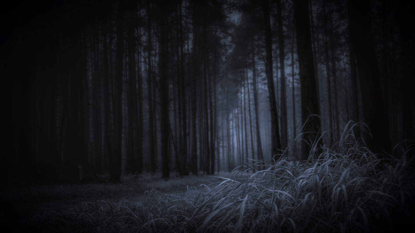 1370x770 Download  Forest, Dark Theme, Grass, Trees Wallpaper, Desktop