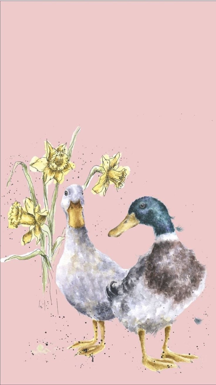 740x1310 Duck Phone Wallpaper. Phone wallpaper, Cute doodle art, Duck wallpaper, Phone