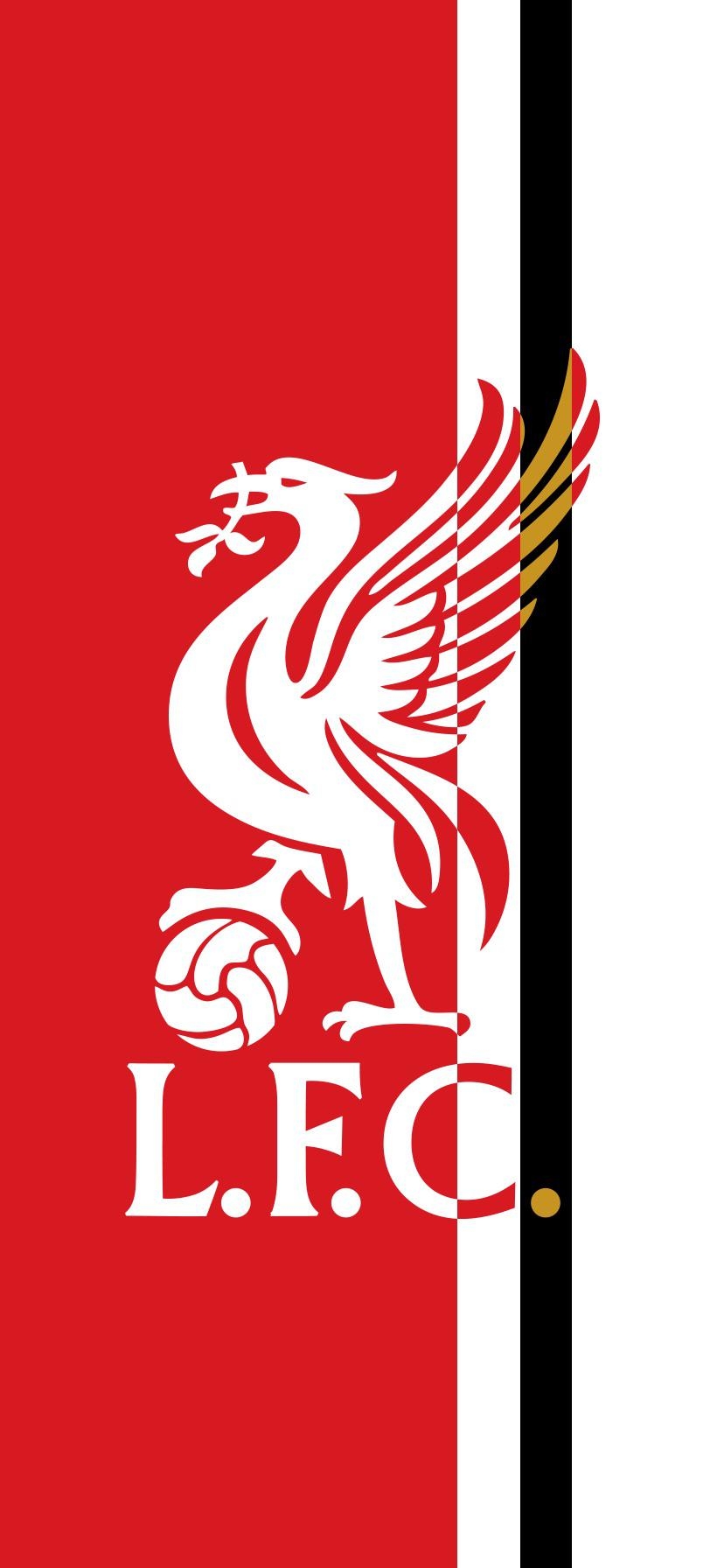 830x1800 Liverpool FC (partly) Kit inspired wallpaper. (iPhone XR but, Phone