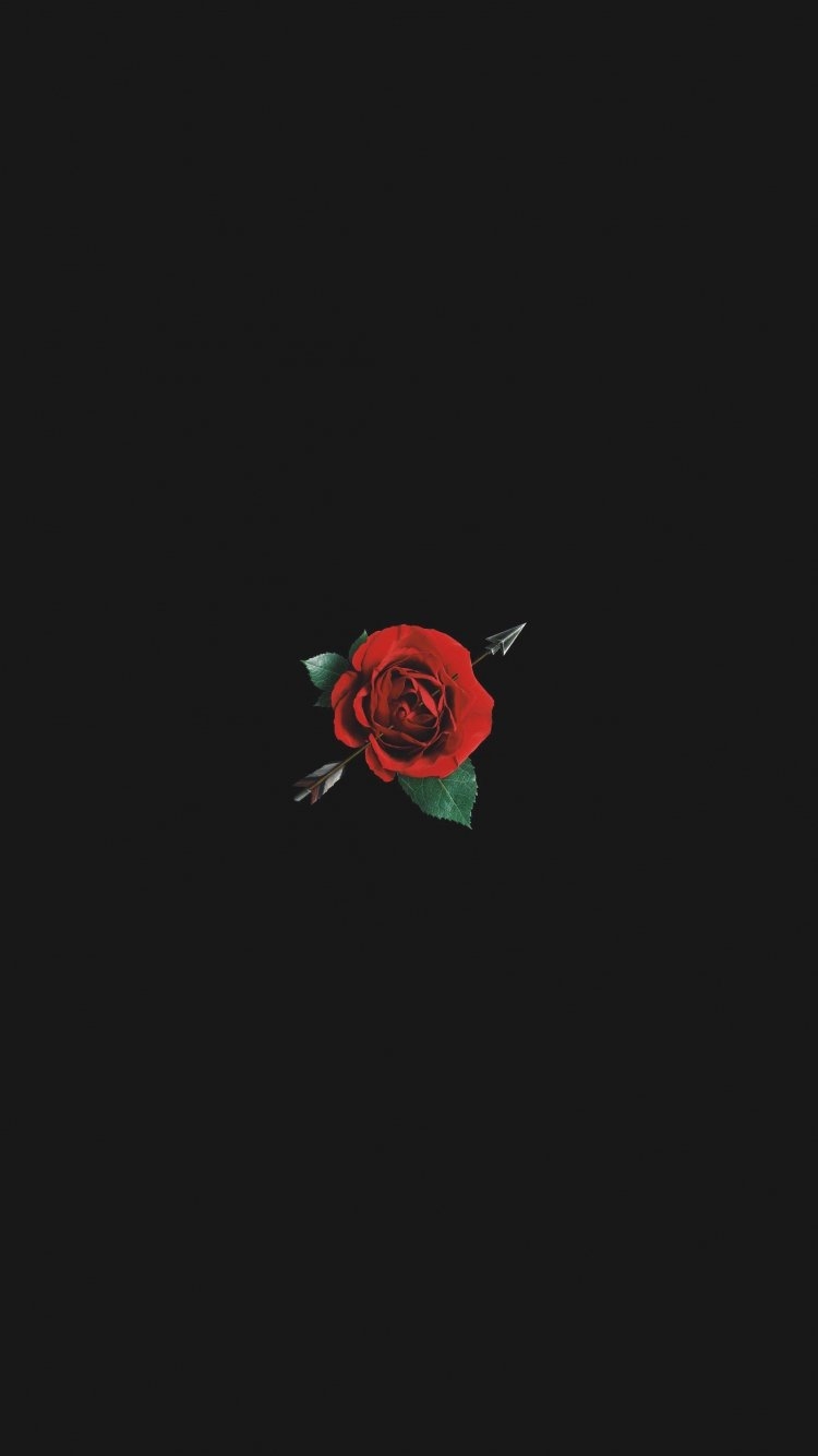 750x1340 Free download Dark Aesthetic Rose Blurry Rose Wallpaper [2200x3300] for your Desktop, Mobile & Tablet. Explore Red Roses Aesthetic Wallpaper. Red Roses Aesthetic Wallpaper, Red Aesthetic Wallpaper, Wallpaper Red Roses, Phone