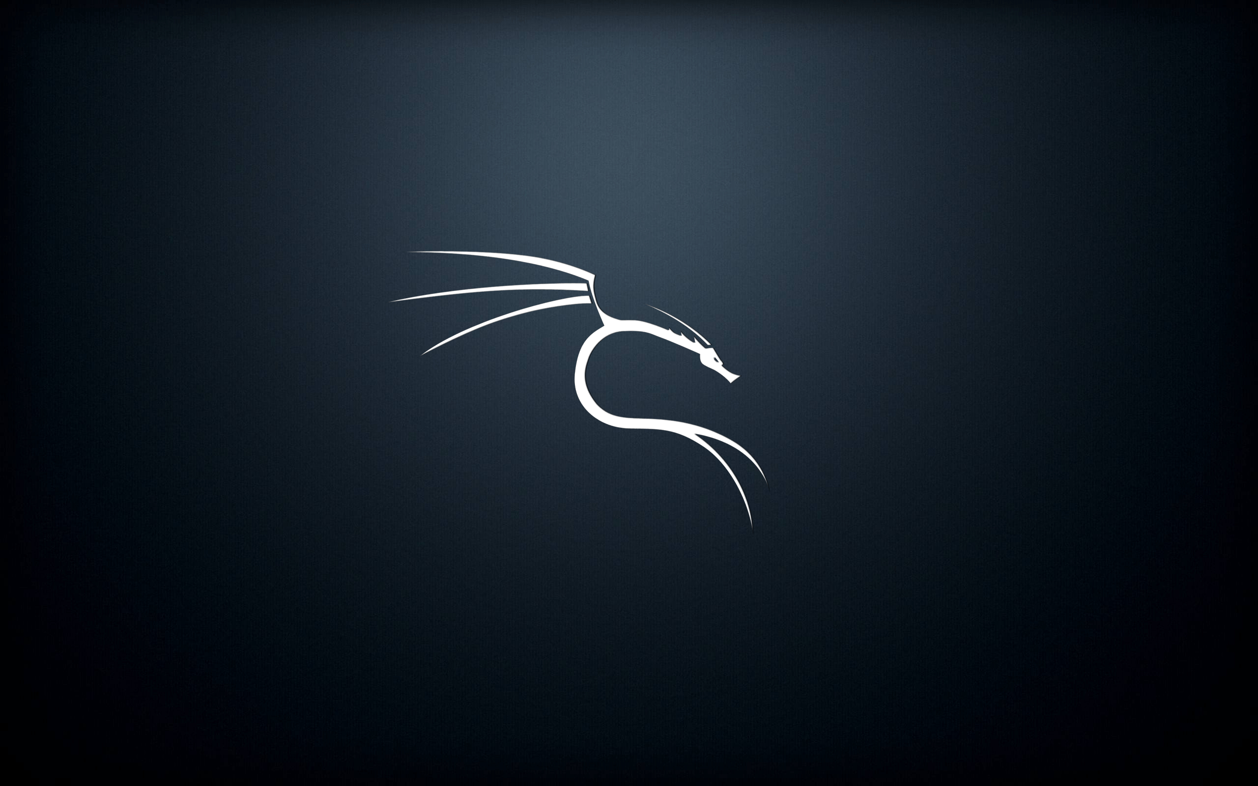 2560x1600 GitHub Kali Linux Wallpaper: A Set Of Dedicated Kali, Desktop