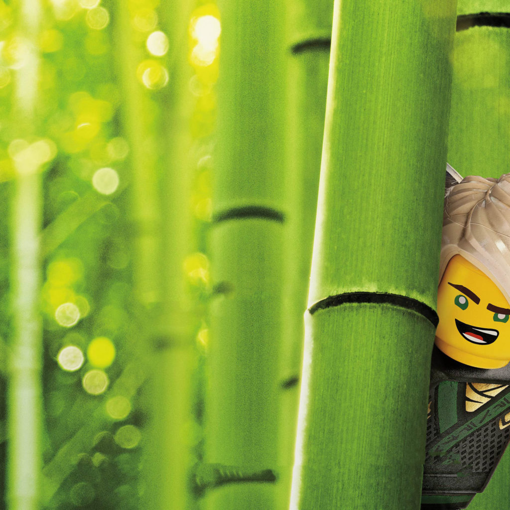 1030x1030 Lloyd The Lego Ninjago Movie, Phone