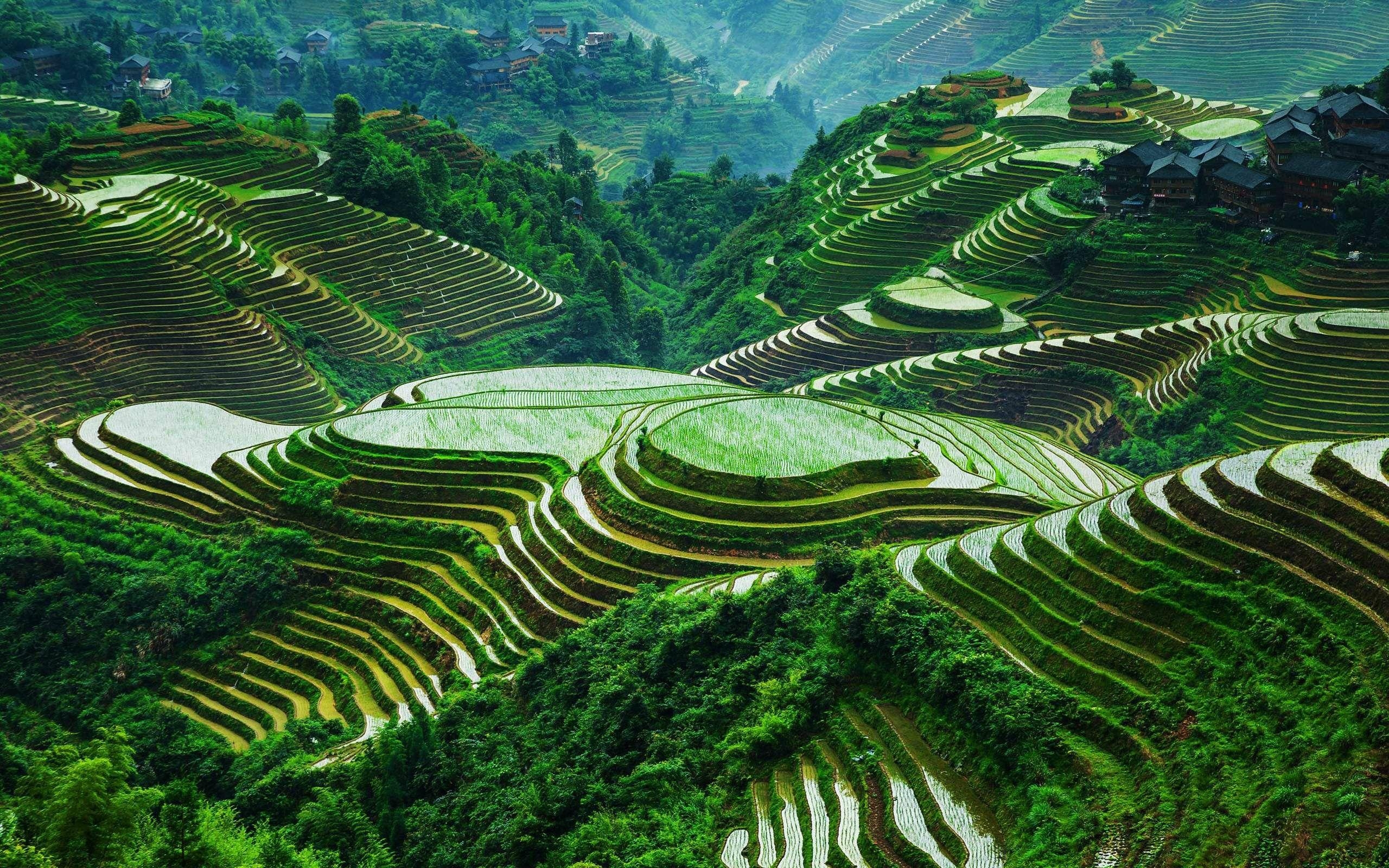 2560x1600 Banaue Rice Terraces Wallpaper Free Banaue Rice Terraces, Desktop