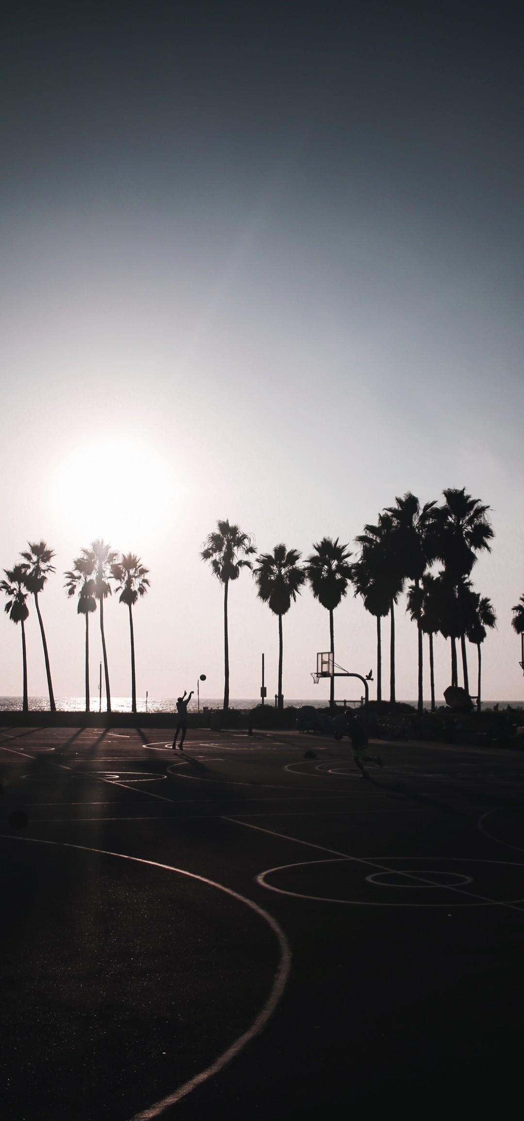 1080x2310 Download  Basketball, Palm Trees, Friends, Fun, Clear Sky, Phone