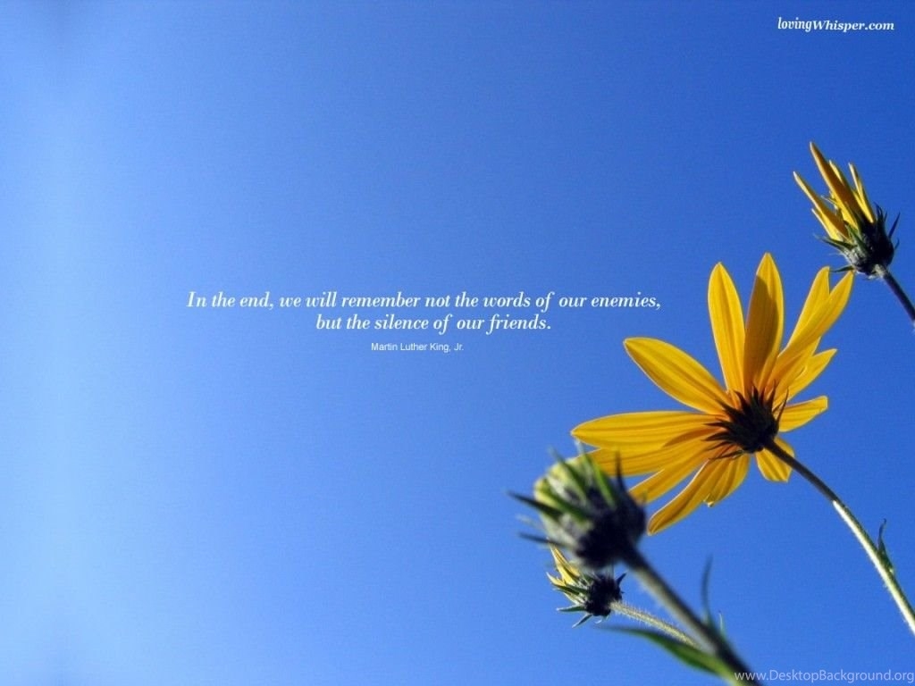 1030x770 Silence Quotes Wallpaper Desktop Background, Desktop