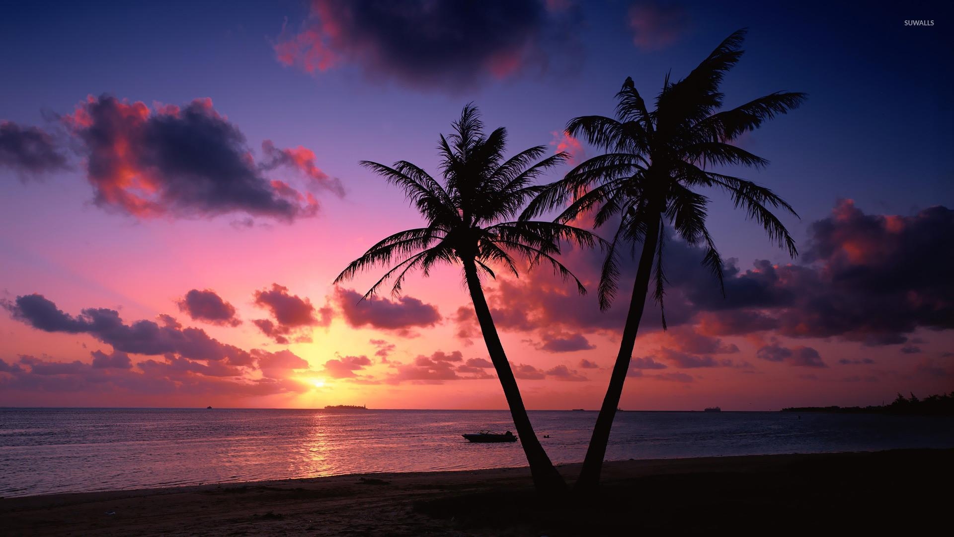 1920x1080 Sunset Palm Trees Wallpaper, Desktop