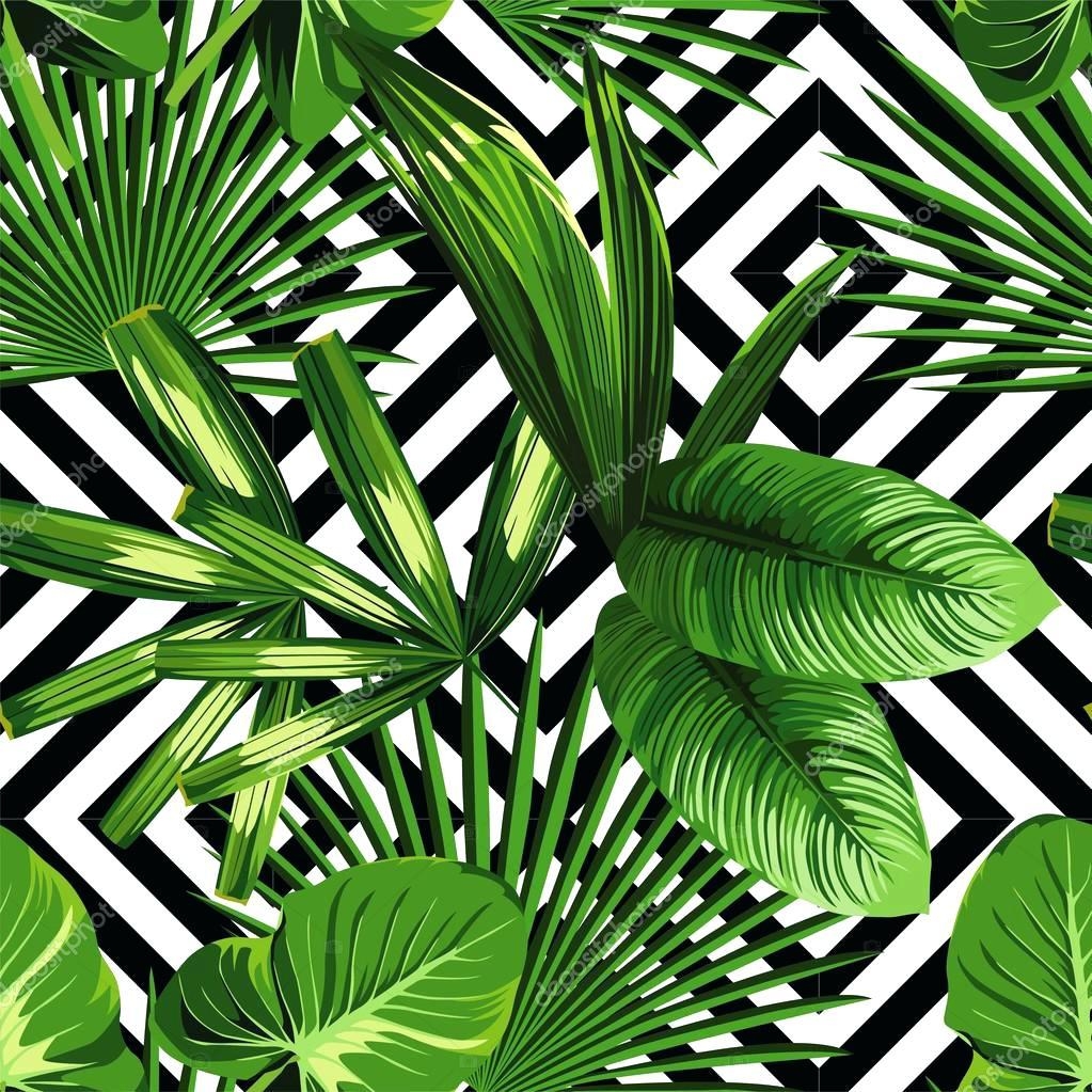 1030x1030 Palm Leaves Wallpaper Tree Wallpaper, Phone