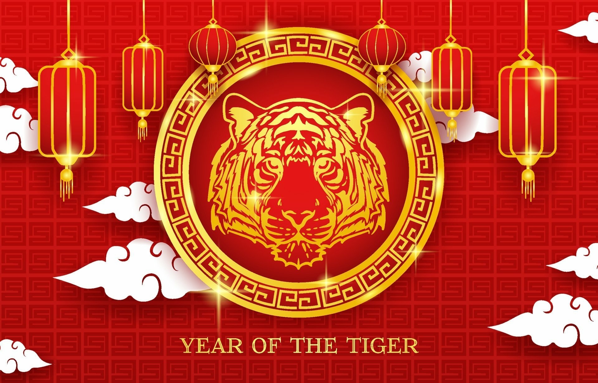 1920x1230 Year of the Tiger HD Wallpaper, Desktop