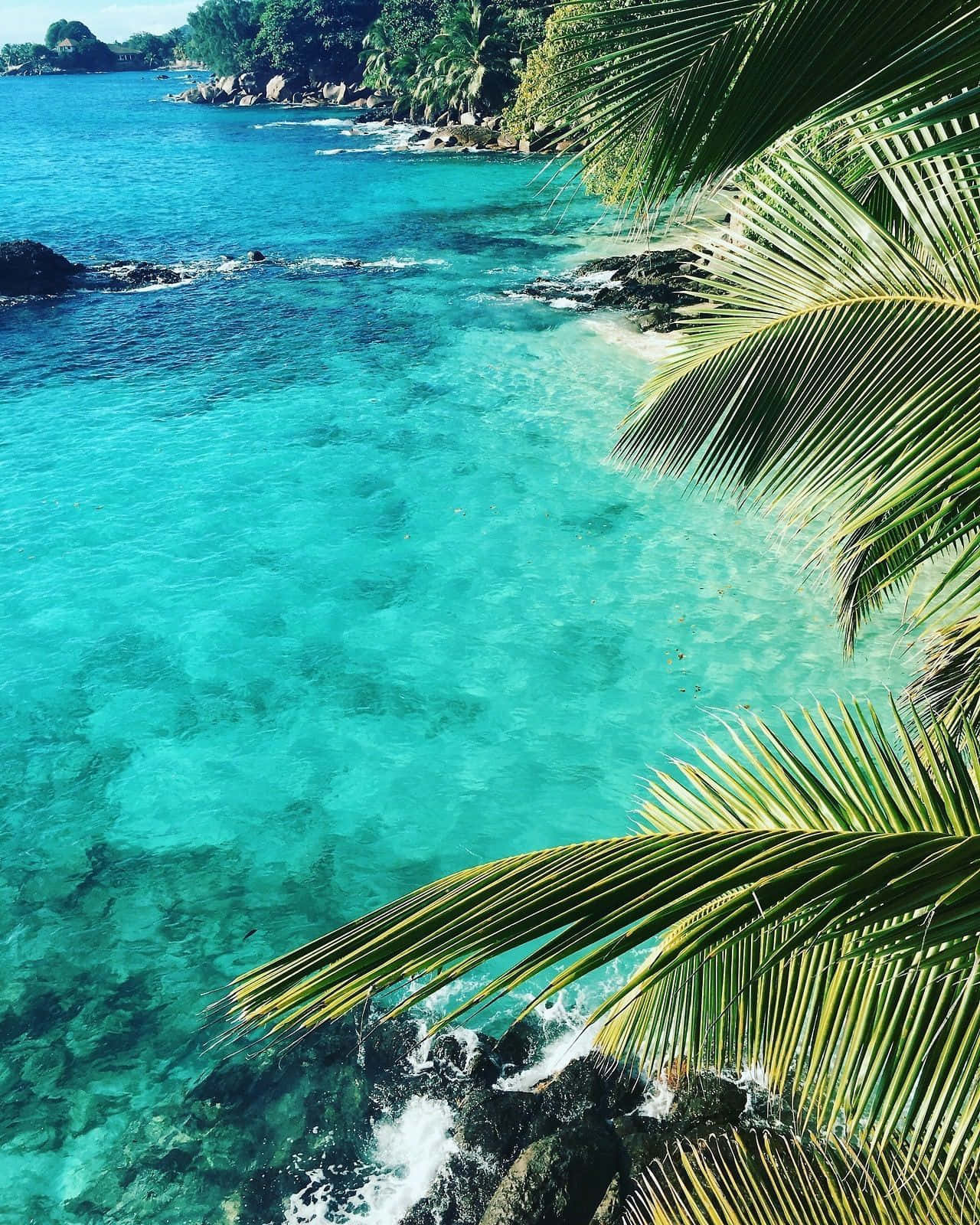 1280x1600 Download Get lost in the beauty of the tropical island! Wallpaper, Phone