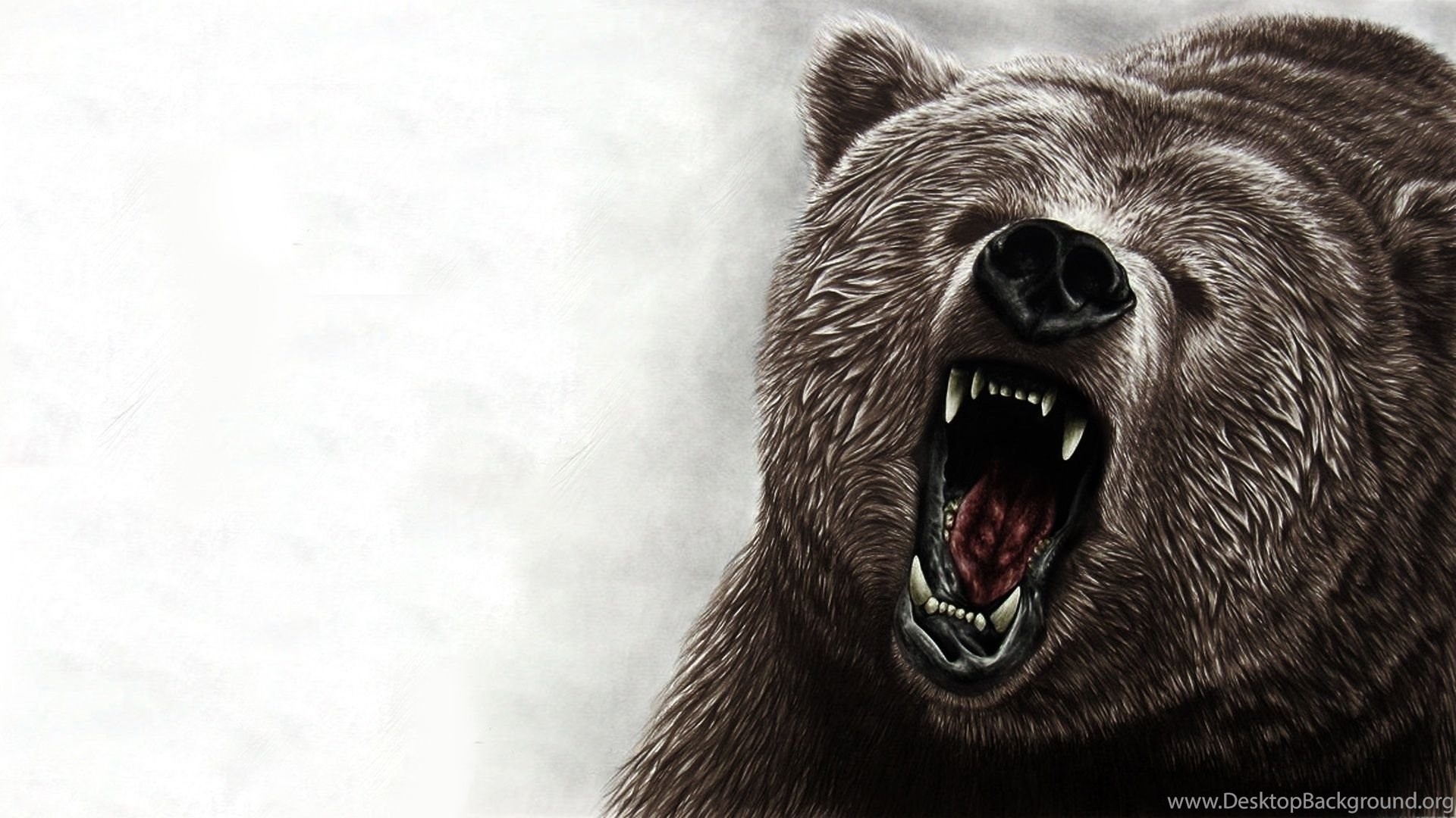 1920x1080 Angry Bear Wallpaper Desktop Background, Desktop